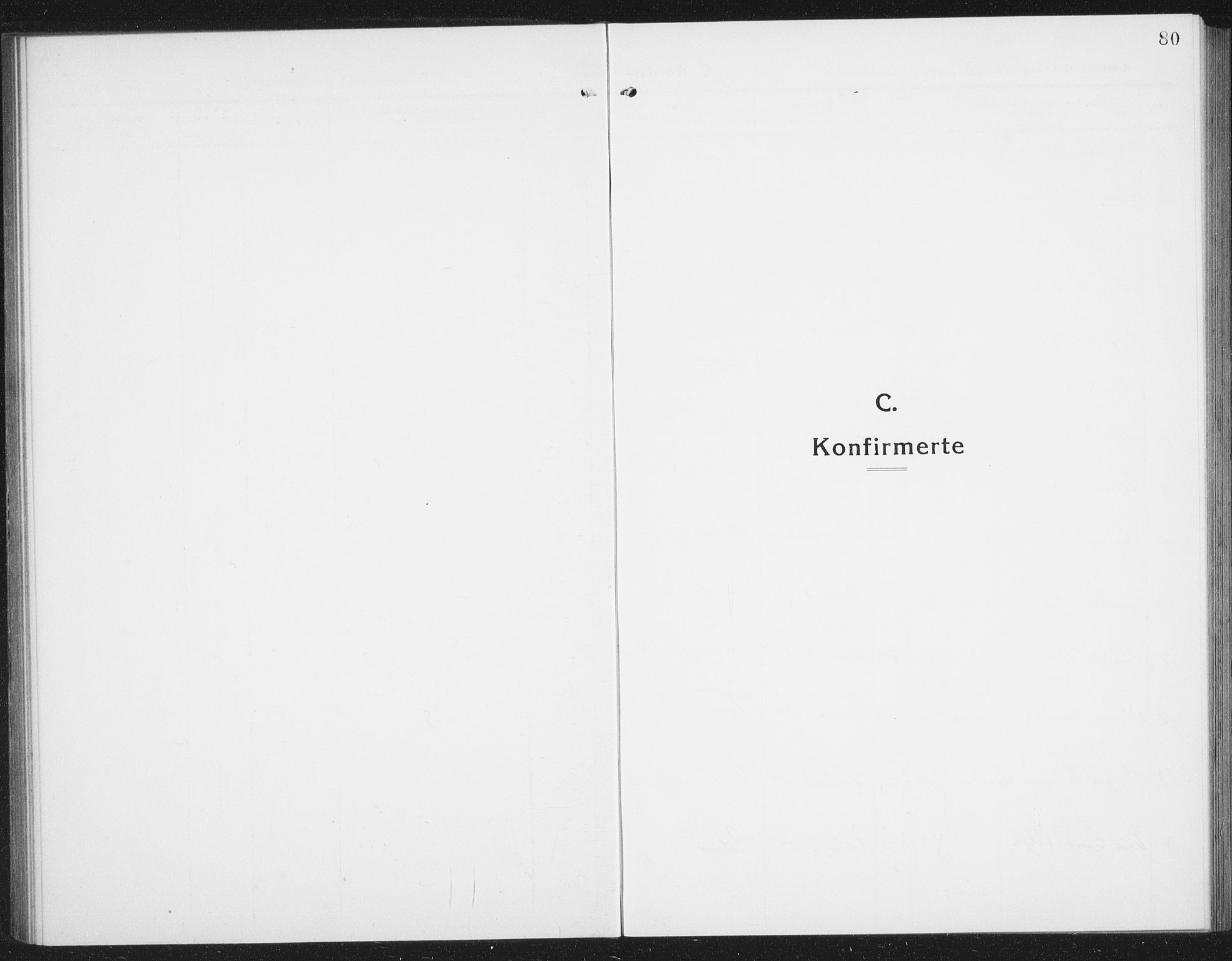 Ministerialprotokoller, klokkerbøker og fødselsregistre - Nordland, SAT/A-1459/855/L0817: Parish register (copy) no. 855C06, 1917-1934, p. 80