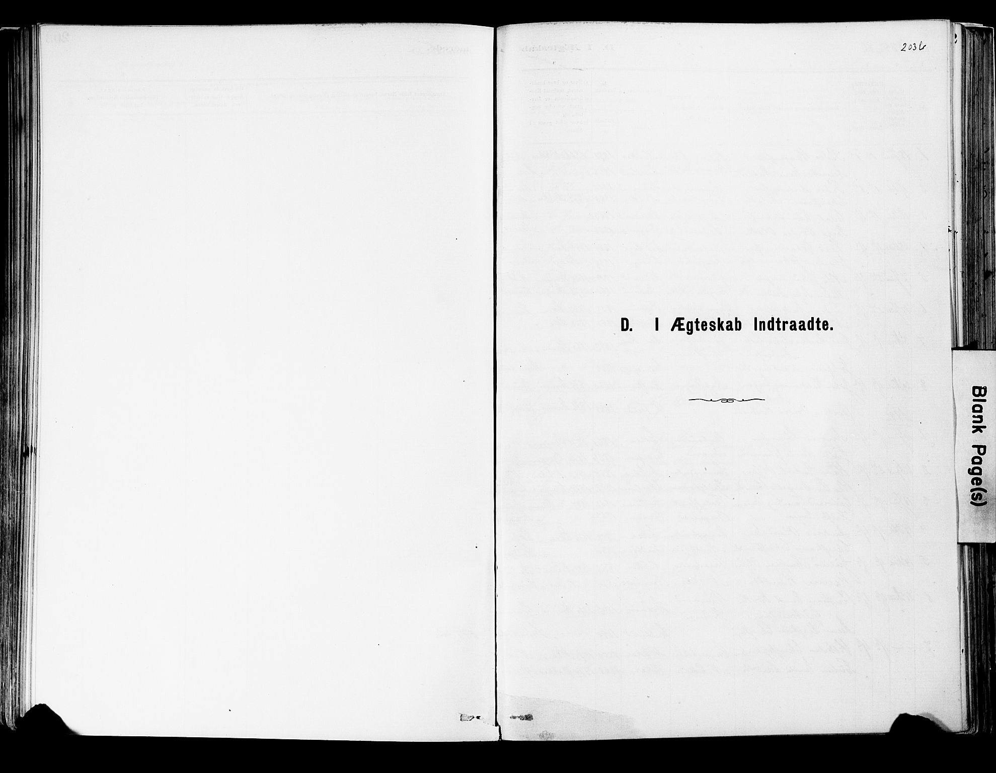 Strømsgodset kirkebøker, AV/SAKO-A-324/F/Fa/L0001: Parish register (official) no. 1, 1885-1909, p. 203