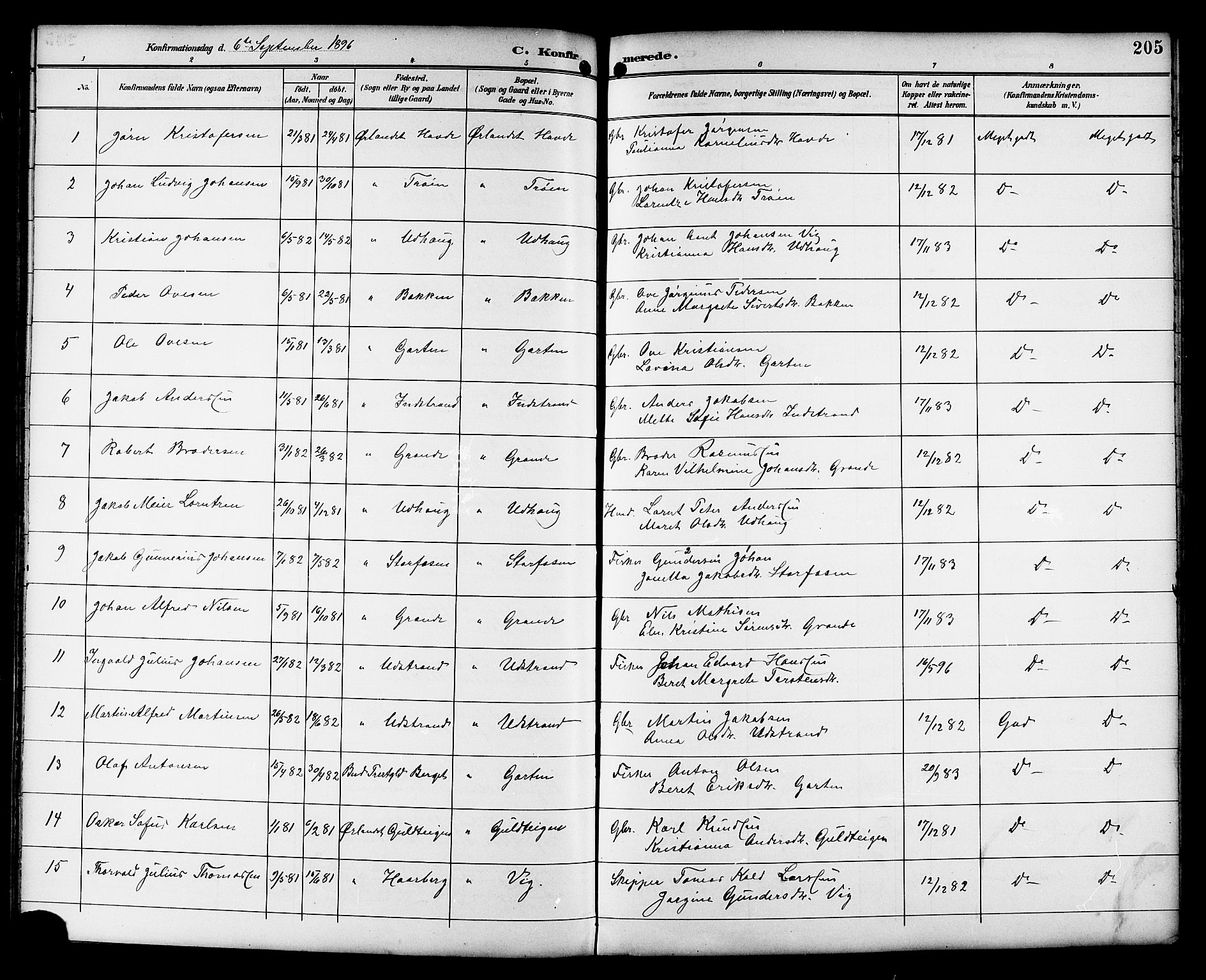 Ministerialprotokoller, klokkerbøker og fødselsregistre - Sør-Trøndelag, AV/SAT-A-1456/659/L0746: Parish register (copy) no. 659C03, 1893-1912, p. 205