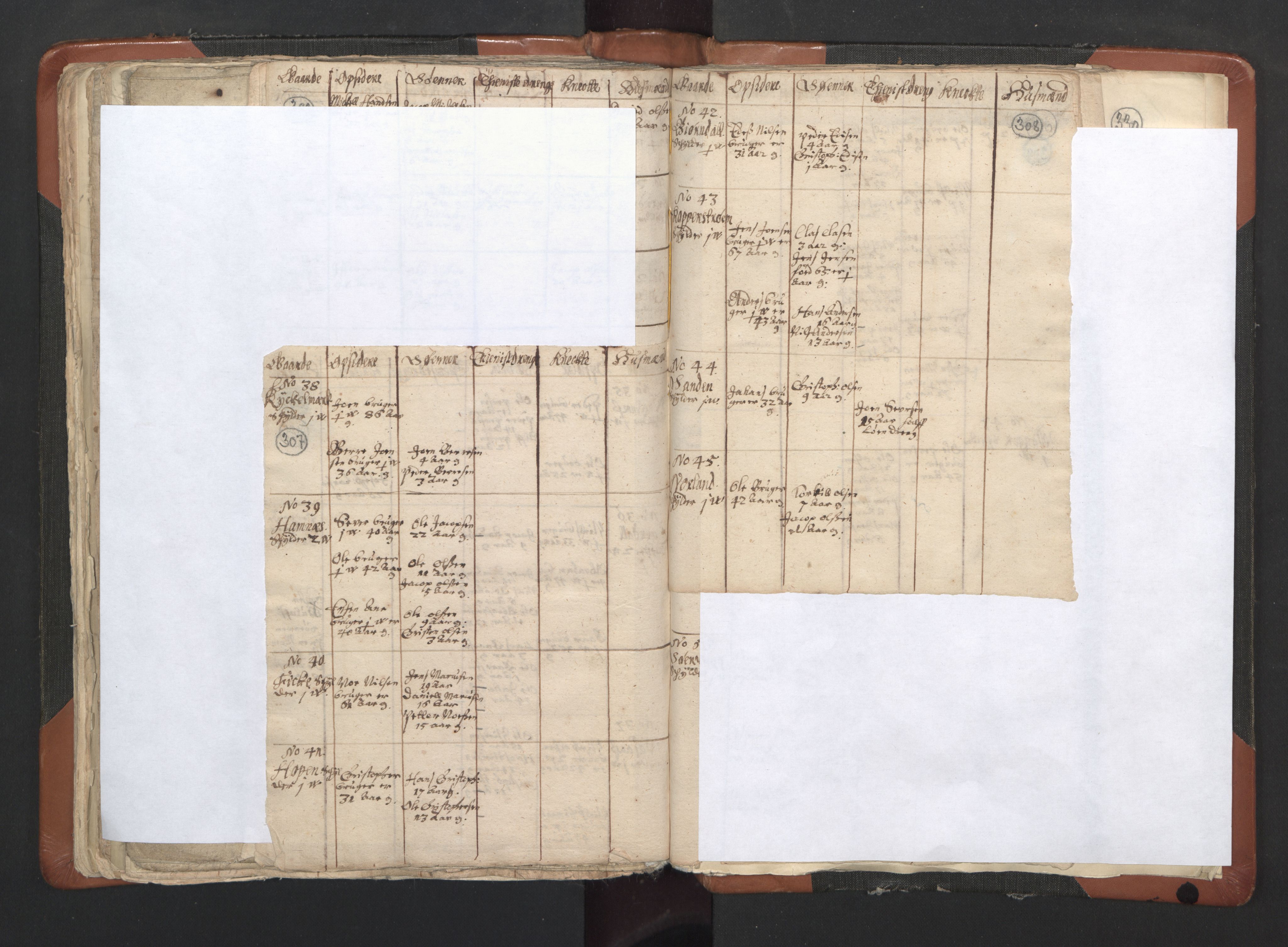 RA, Vicar's Census 1664-1666, no. 35: Helgeland deanery and Salten deanery, 1664-1666, p. 307-308