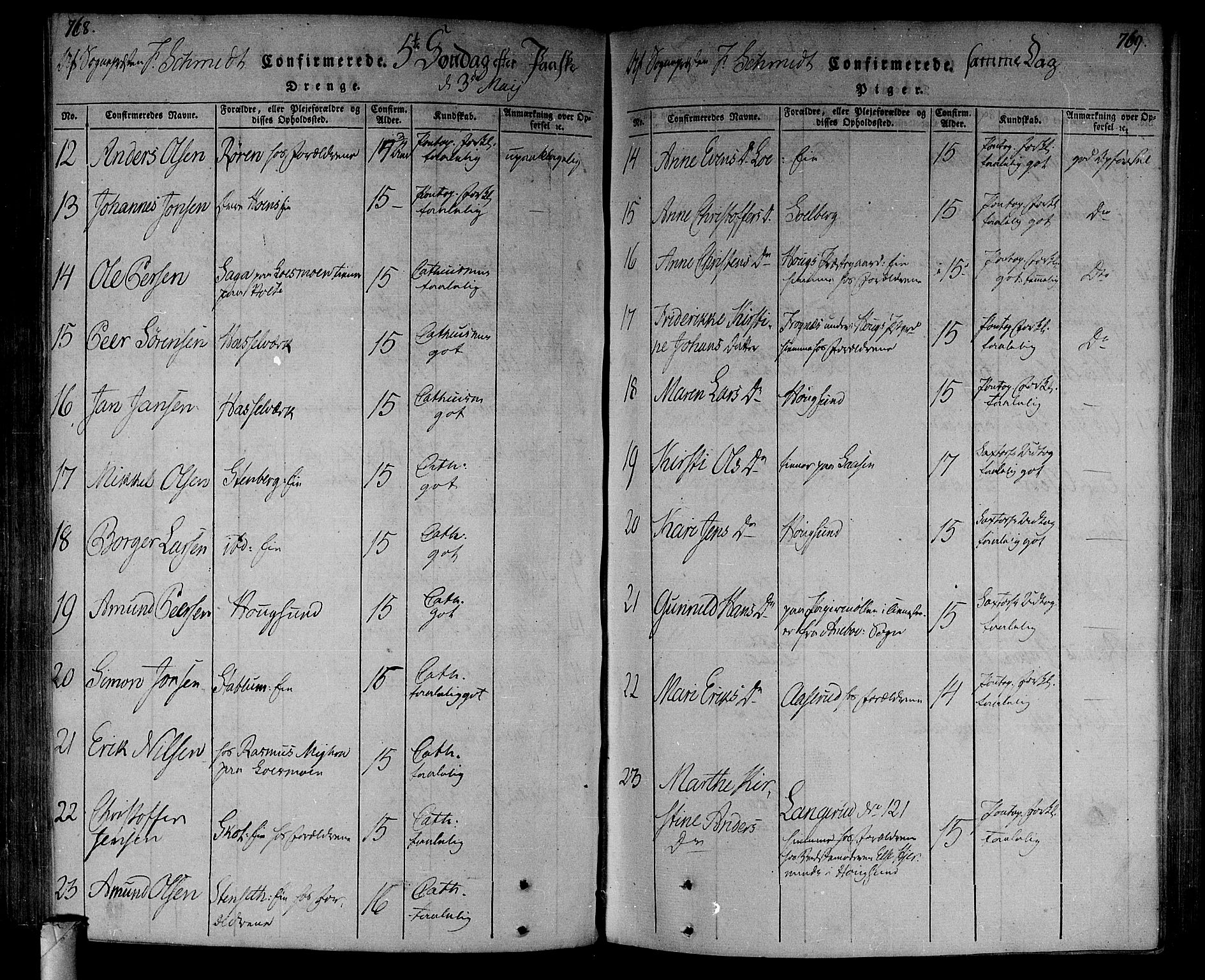 Eiker kirkebøker, AV/SAKO-A-4/F/Fa/L0010: Parish register (official) no. I 10, 1806-1815, p. 768-769