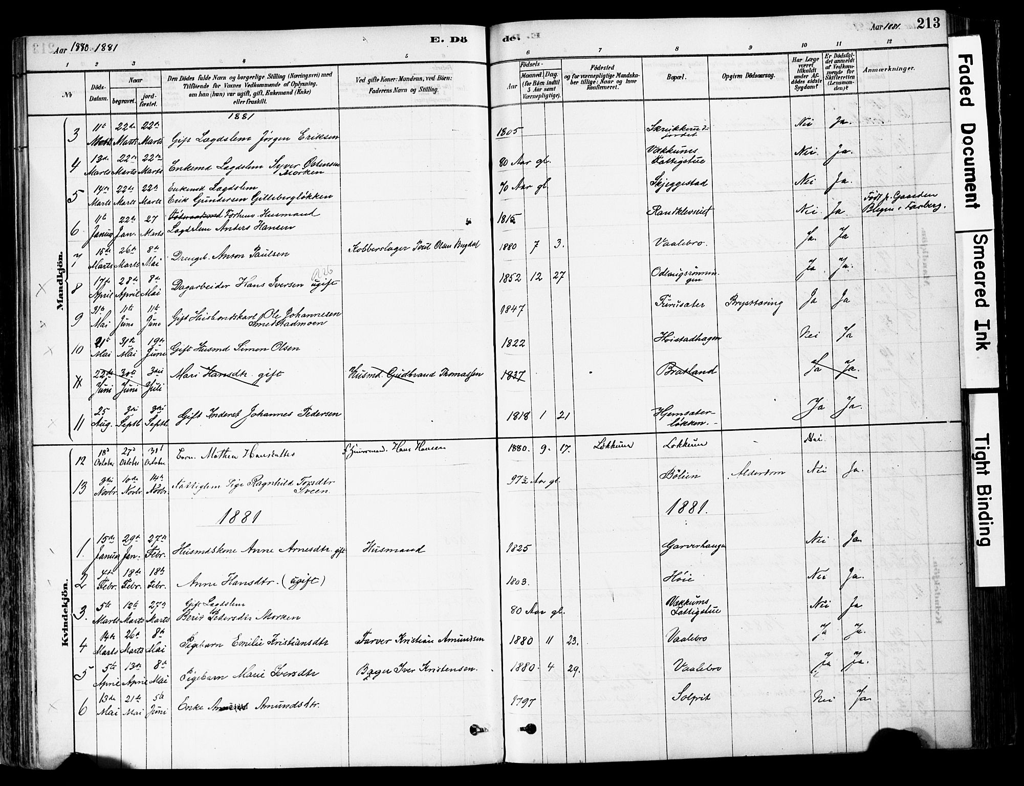 Ringebu prestekontor, AV/SAH-PREST-082/H/Ha/Haa/L0008: Parish register (official) no. 8, 1878-1898, p. 213