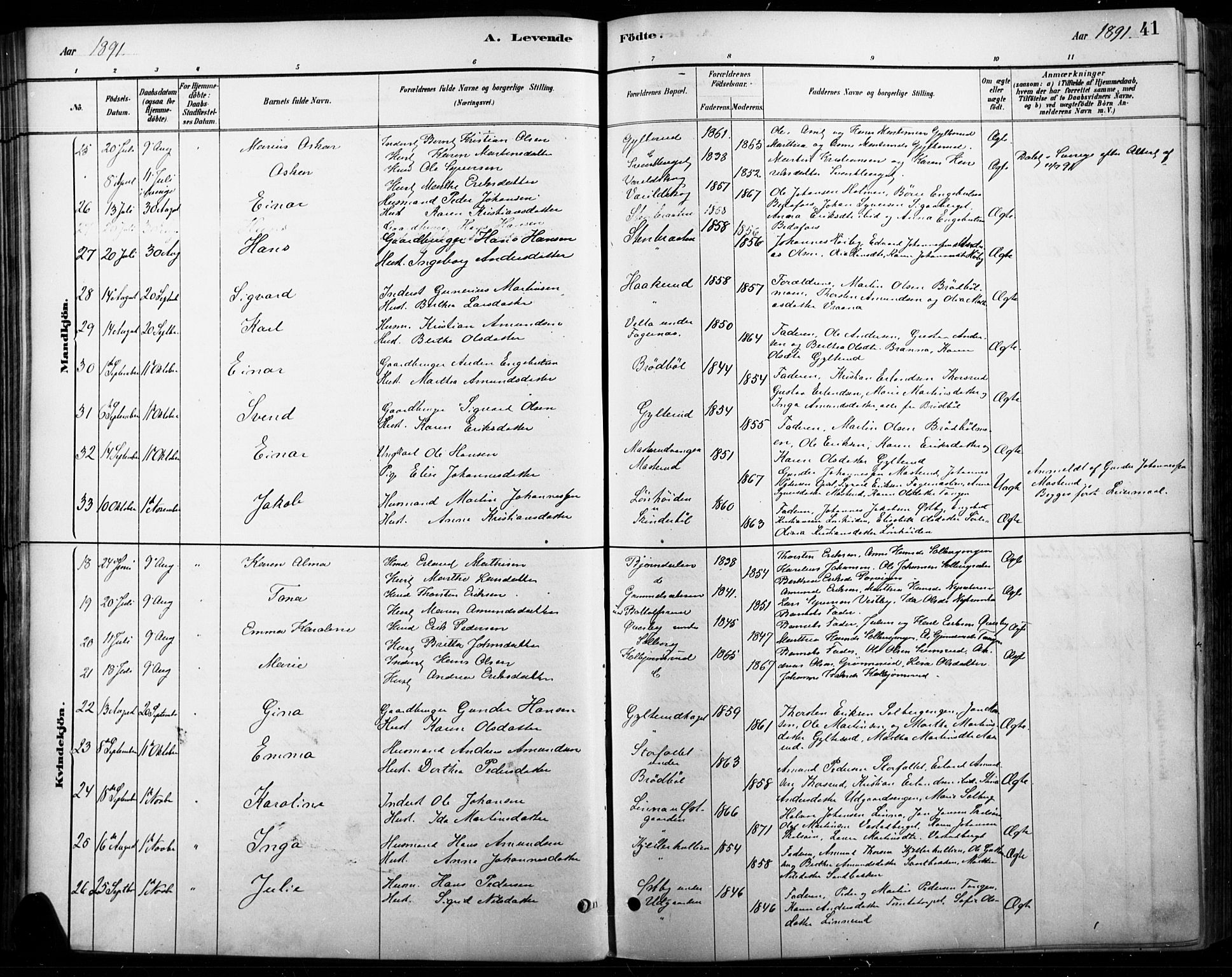 Vinger prestekontor, AV/SAH-PREST-024/H/Ha/Haa/L0015: Parish register (official) no. 15, 1881-1900, p. 41