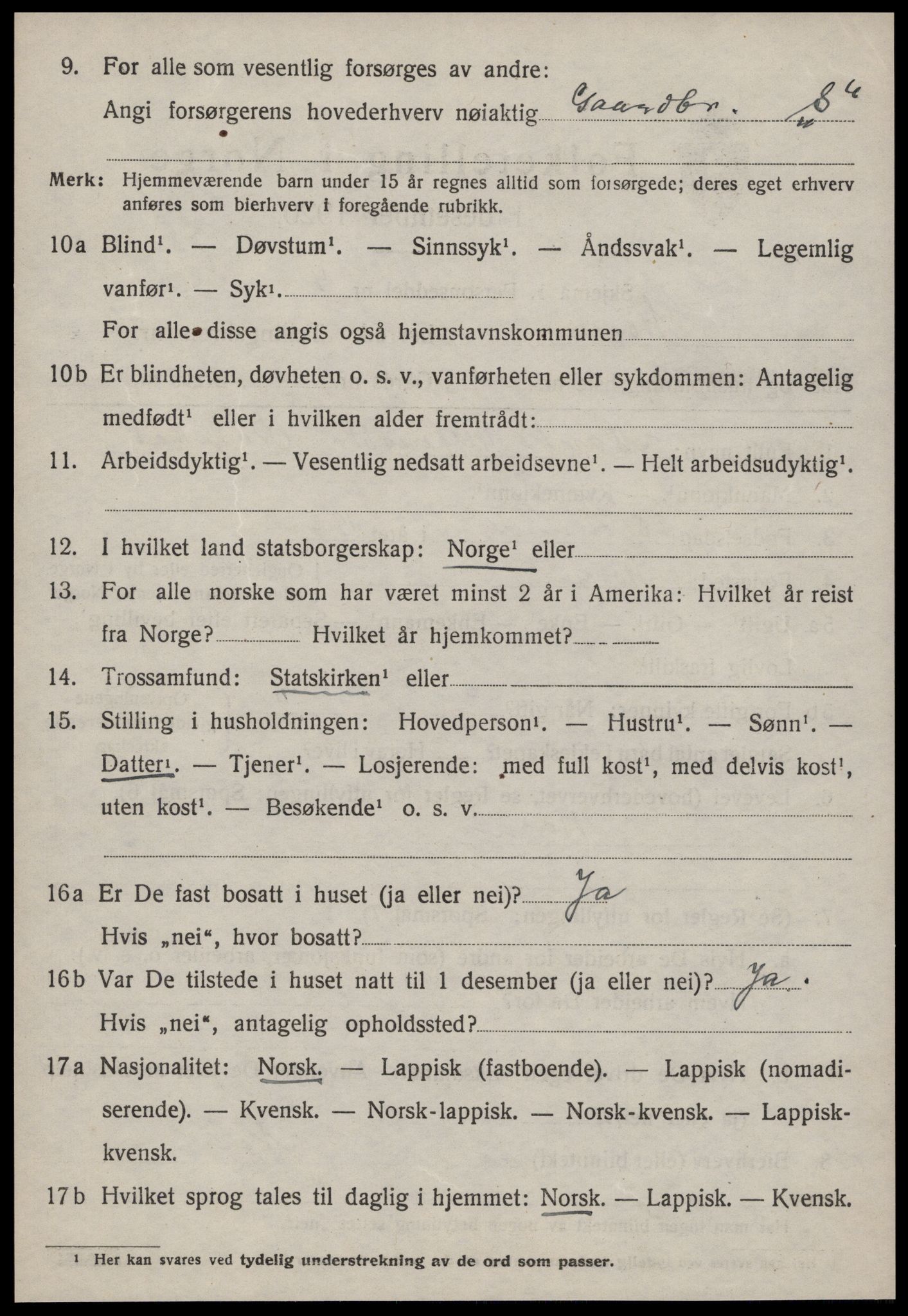 SAT, 1920 census for Støren, 1920, p. 1435