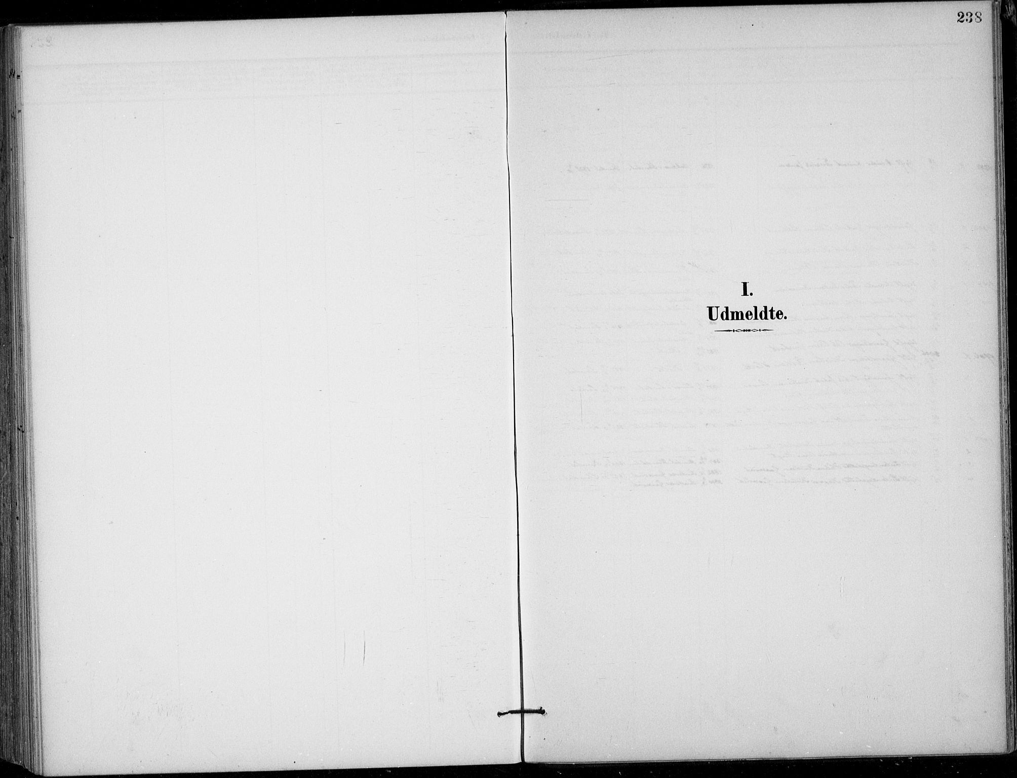 Siljan kirkebøker, SAKO/A-300/F/Fa/L0003: Parish register (official) no. 3, 1896-1910, p. 238