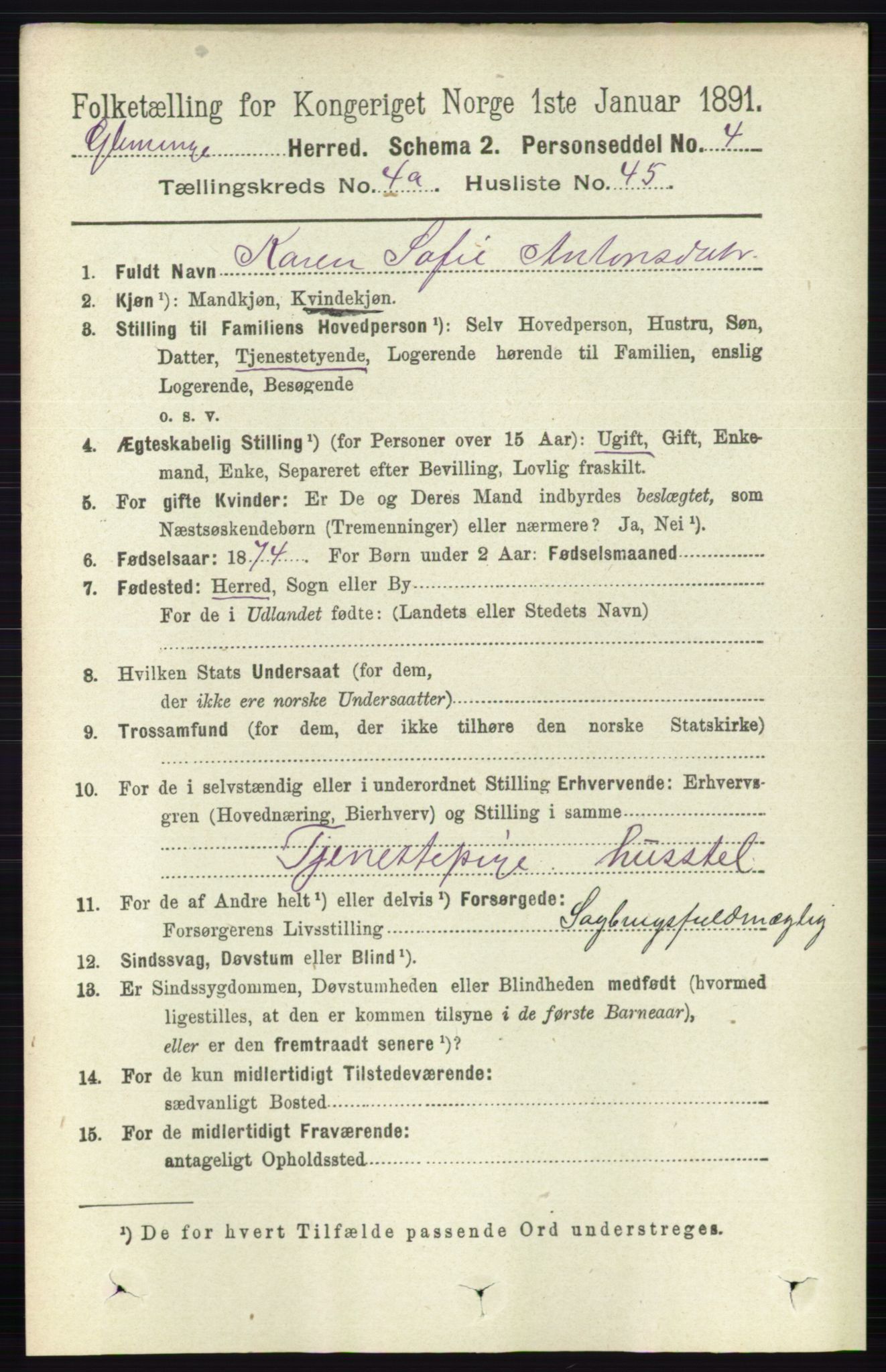 RA, 1891 census for 0132 Glemmen, 1891, p. 3894