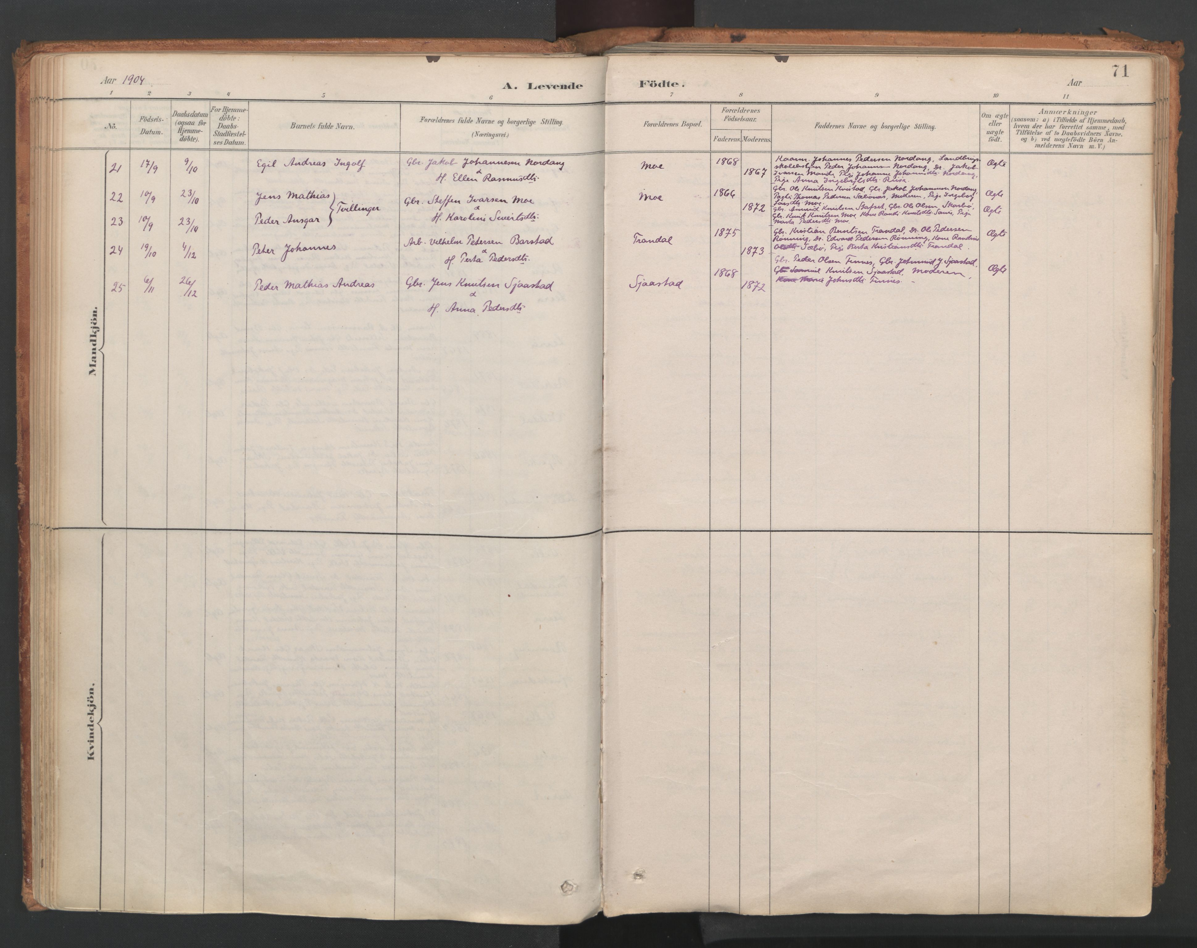 Ministerialprotokoller, klokkerbøker og fødselsregistre - Møre og Romsdal, SAT/A-1454/515/L0211: Parish register (official) no. 515A07, 1886-1910, p. 71