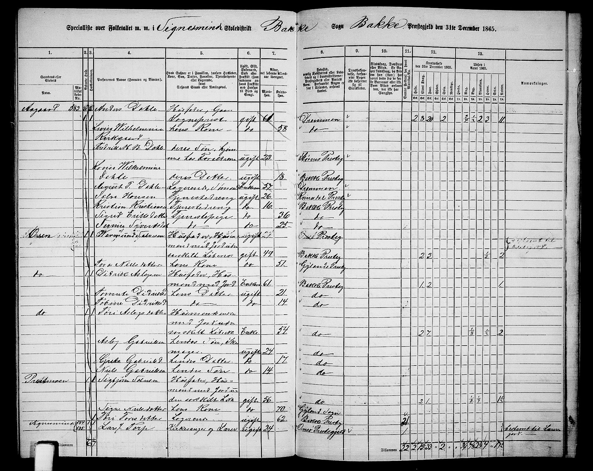 RA, 1865 census for Bakke, 1865, p. 109