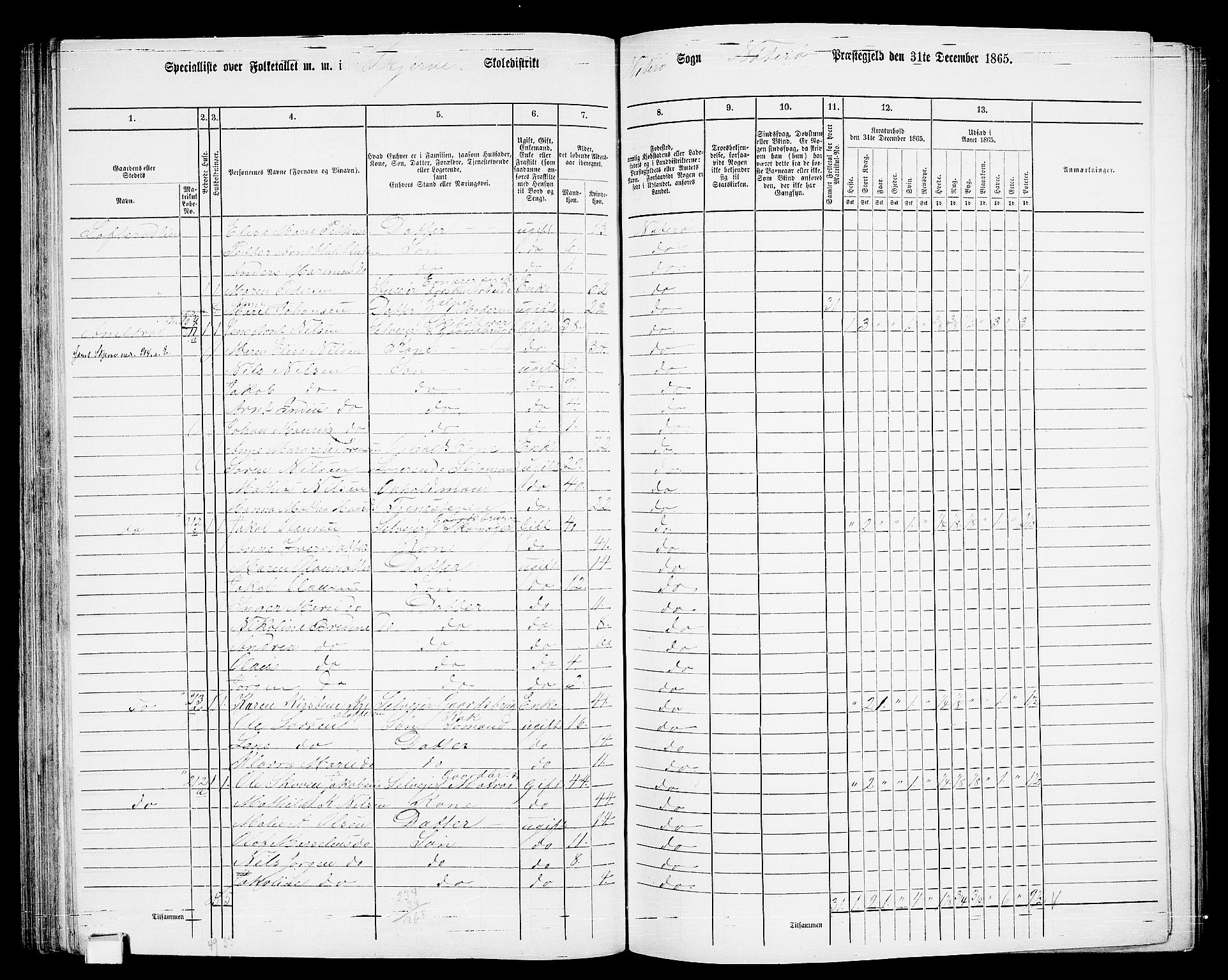 RA, 1865 census for Nøtterøy, 1865, p. 133