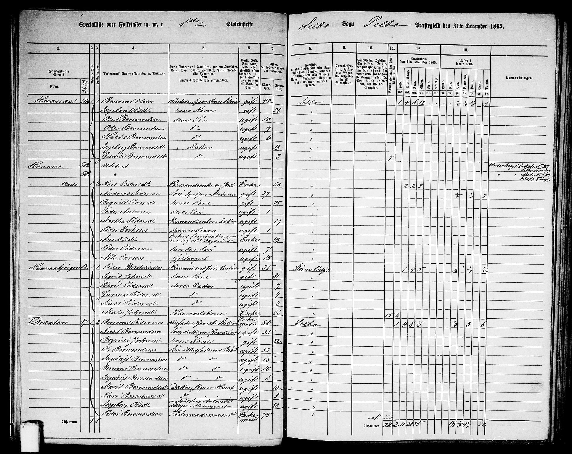 RA, 1865 census for Selbu, 1865, p. 12