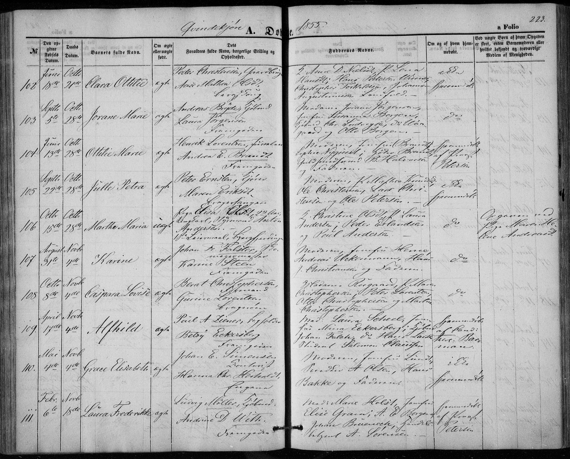 Bragernes kirkebøker, AV/SAKO-A-6/F/Fb/L0002: Parish register (official) no. II 2, 1848-1859, p. 223