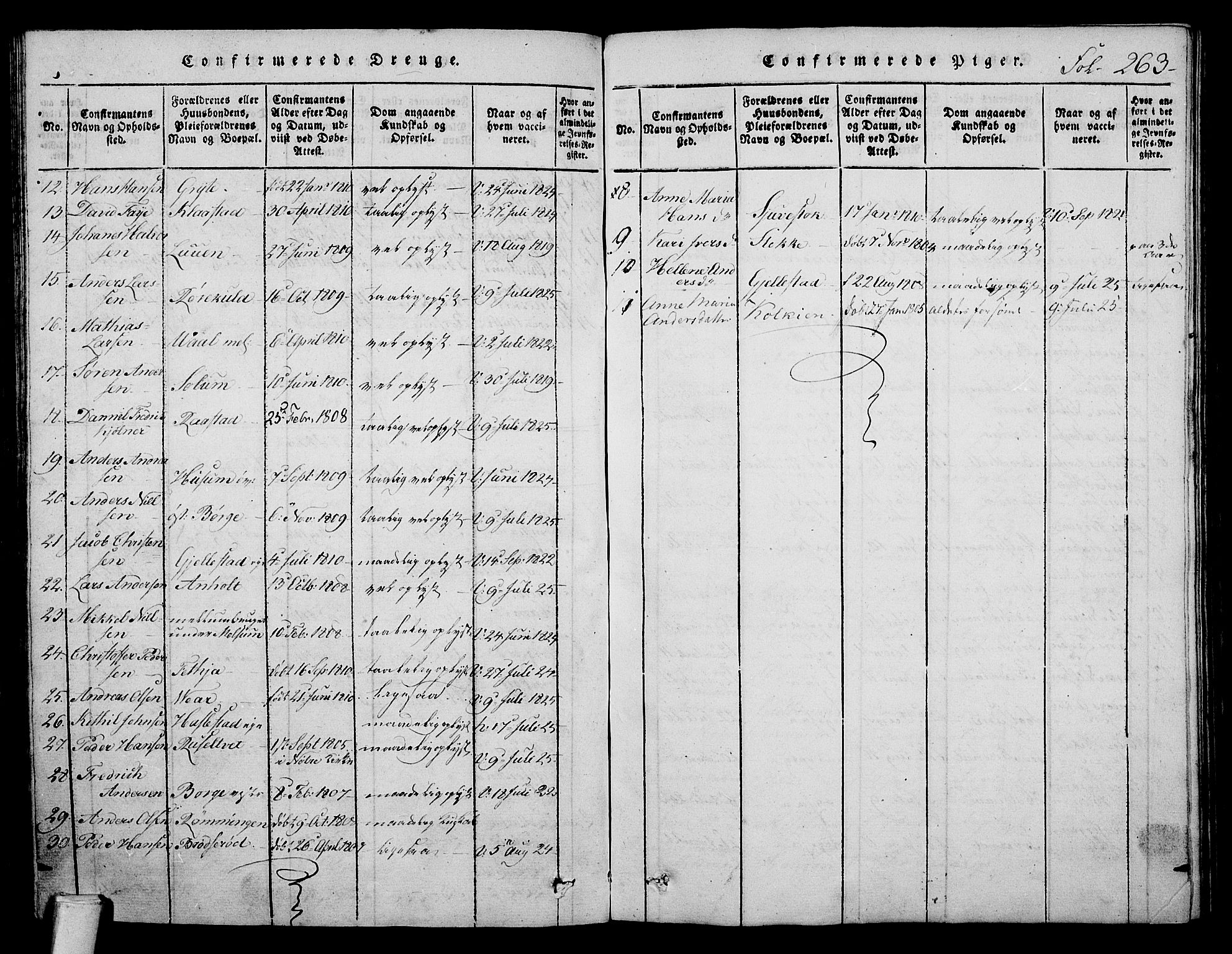 Stokke kirkebøker, AV/SAKO-A-320/F/Fa/L0005: Parish register (official) no. I 5, 1815-1826, p. 263