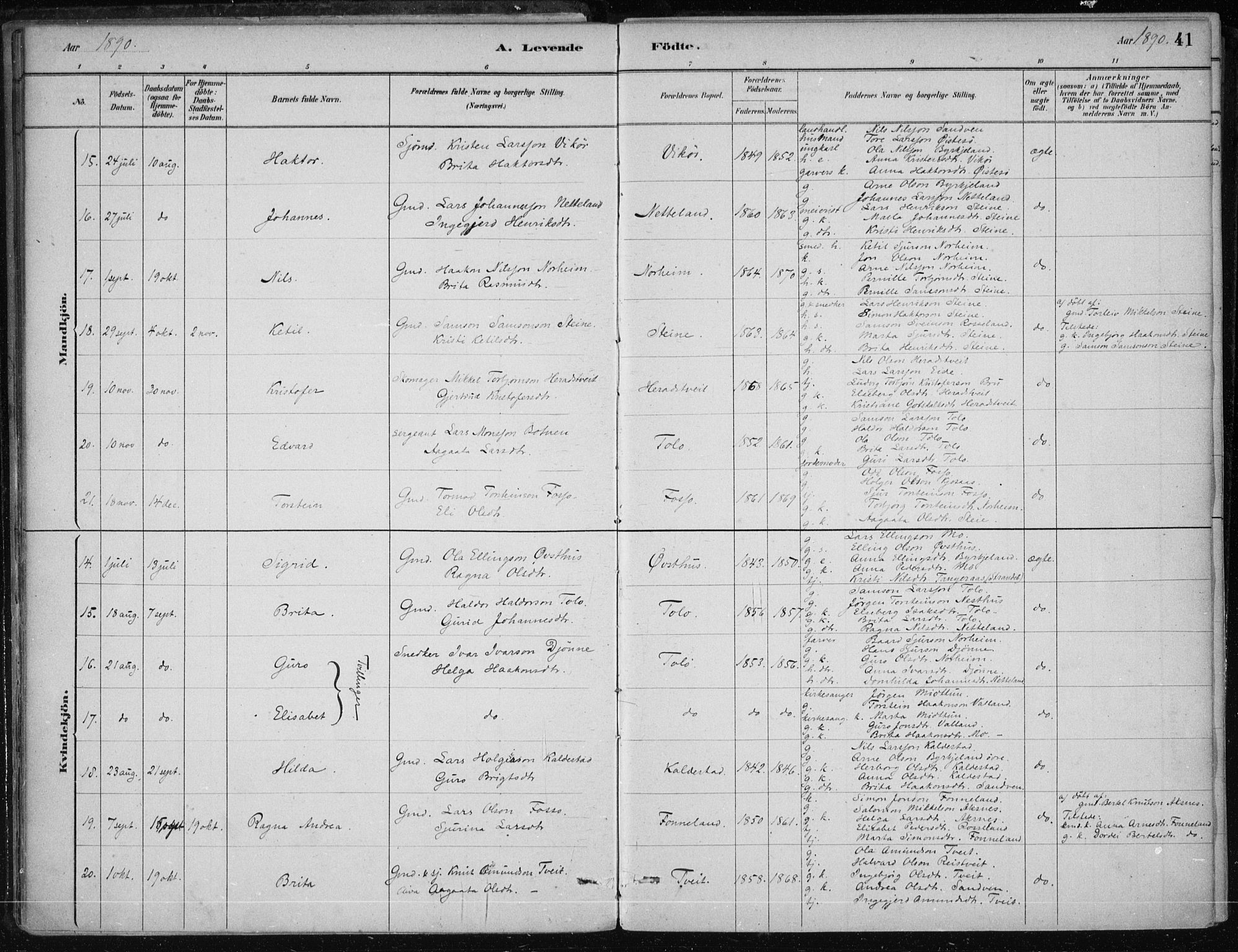 Kvam sokneprestembete, SAB/A-76201/H/Haa: Parish register (official) no. B  1, 1880-1908, p. 41