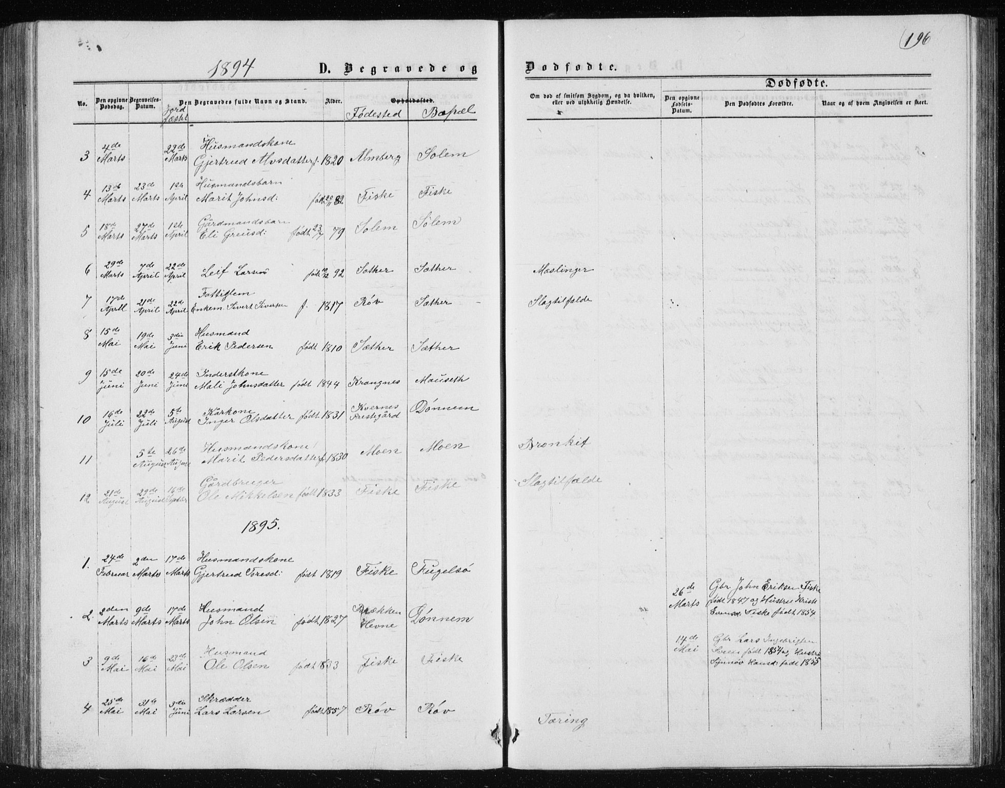 Ministerialprotokoller, klokkerbøker og fødselsregistre - Møre og Romsdal, AV/SAT-A-1454/597/L1064: Parish register (copy) no. 597C01, 1866-1898, p. 196