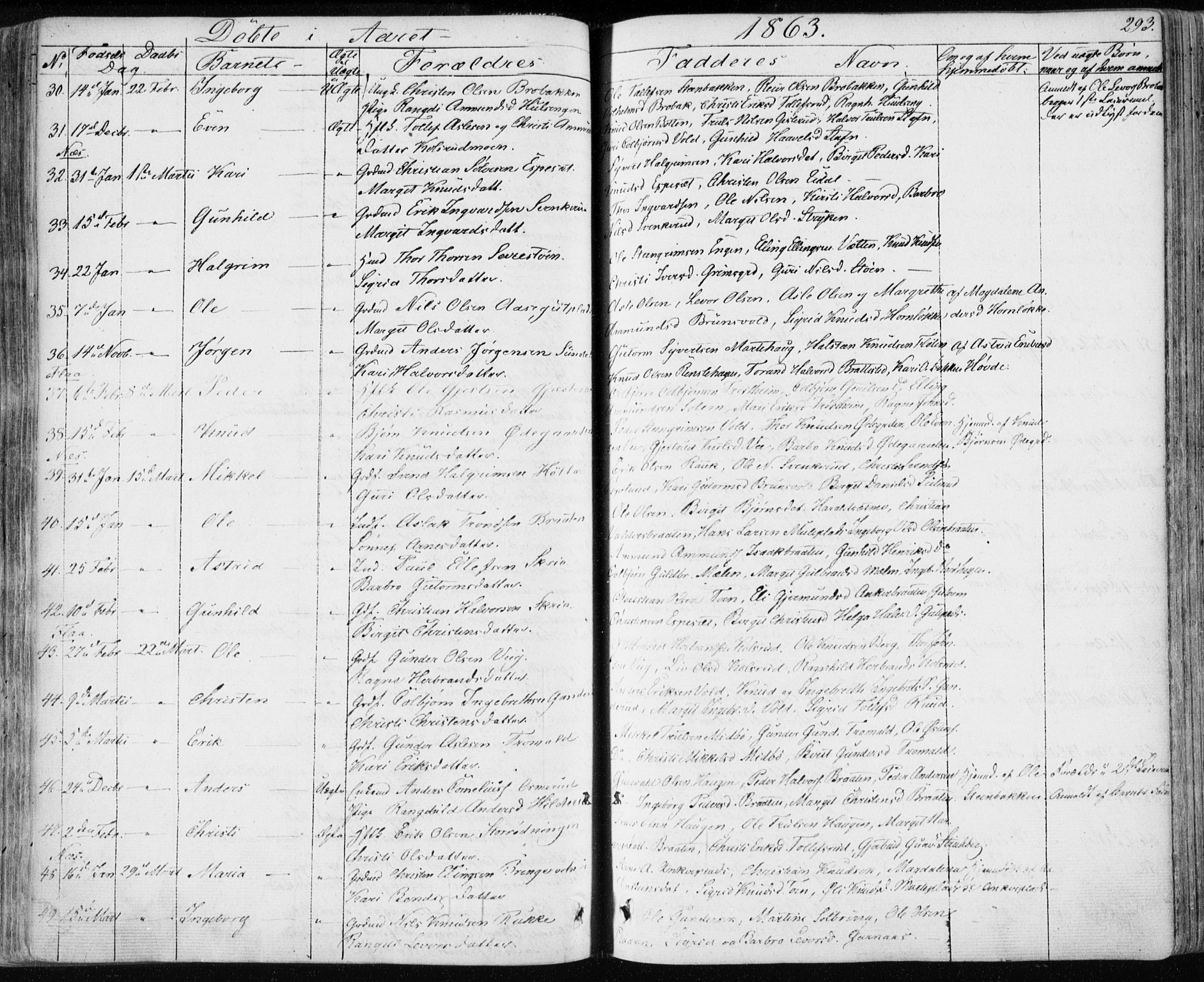 Nes kirkebøker, AV/SAKO-A-236/F/Fa/L0009: Parish register (official) no. 9, 1834-1863, p. 293