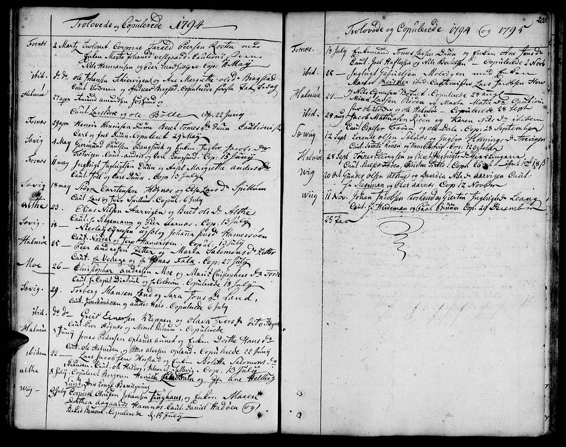 Ministerialprotokoller, klokkerbøker og fødselsregistre - Nord-Trøndelag, SAT/A-1458/773/L0608: Parish register (official) no. 773A02, 1784-1816, p. 205