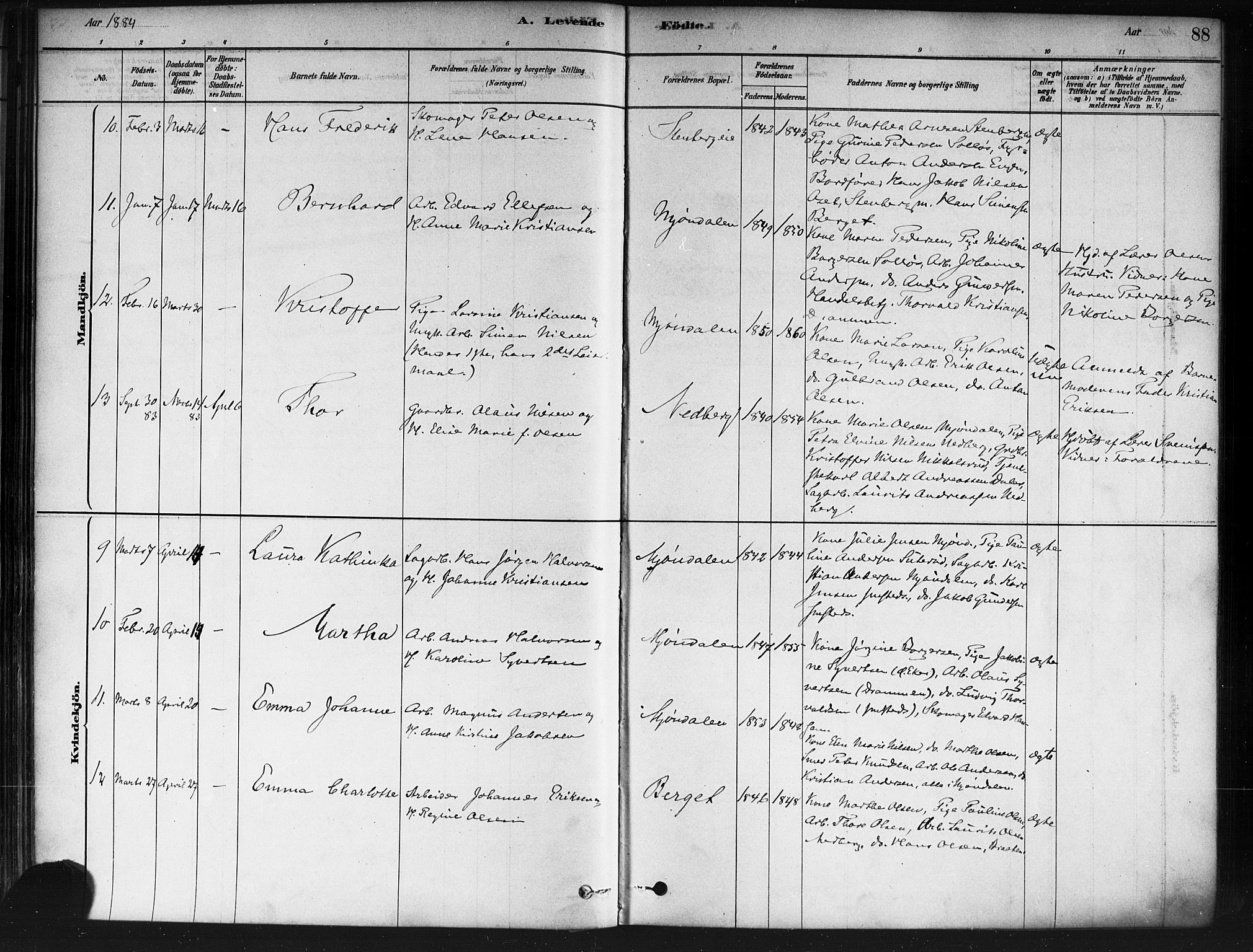 Nedre Eiker kirkebøker, AV/SAKO-A-612/F/Fa/L0002: Parish register (official) no. 2, 1878-1885, p. 88