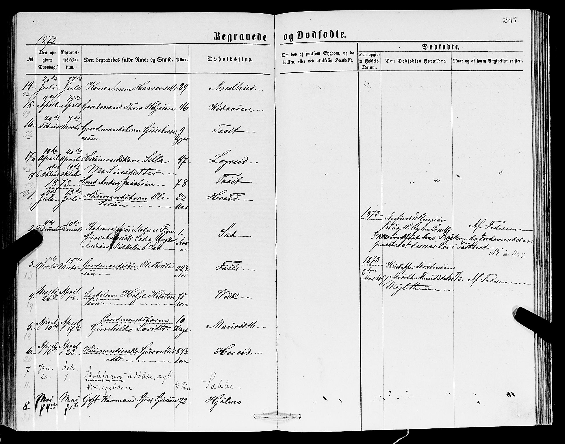 Ullensvang sokneprestembete, SAB/A-78701/H/Hab: Parish register (copy) no. C 2, 1871-1899, p. 247