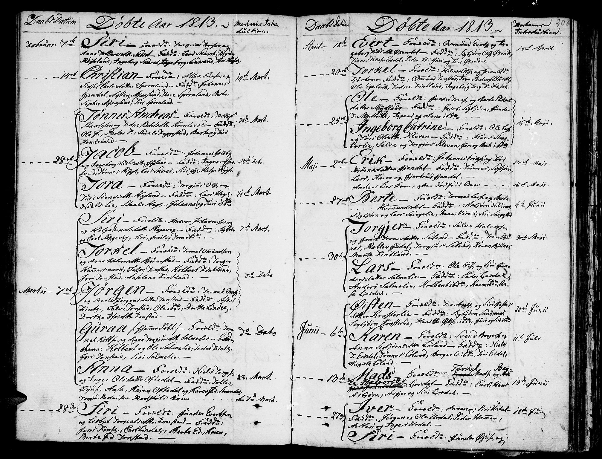 Bakke sokneprestkontor, SAK/1111-0002/F/Fa/Faa/L0002: Parish register (official) no. A 2, 1780-1816, p. 208