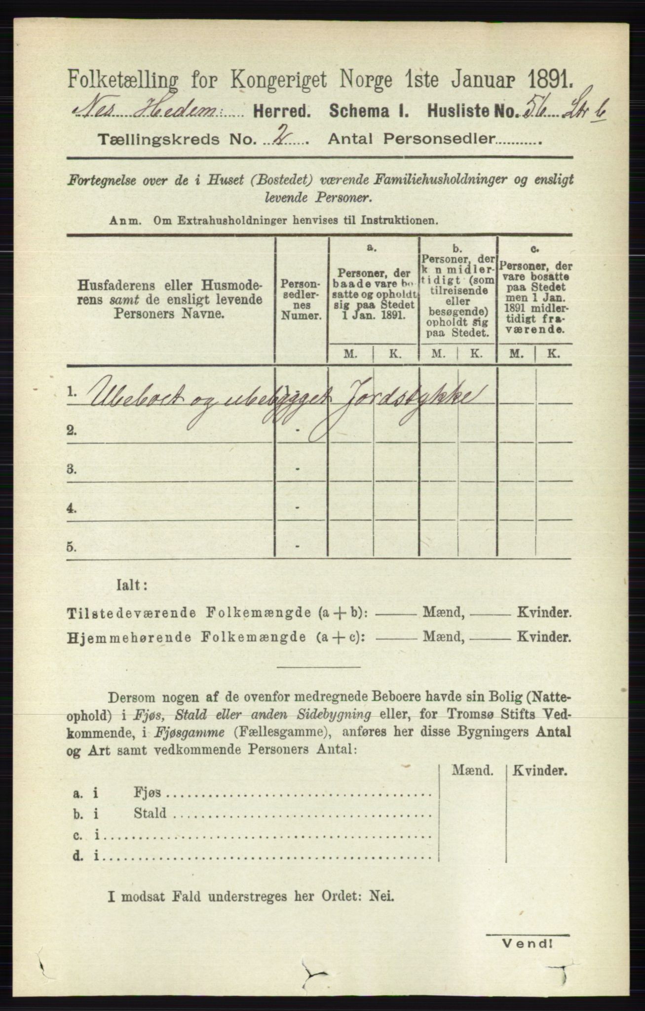 RA, 1891 census for 0411 Nes, 1891, p. 1061