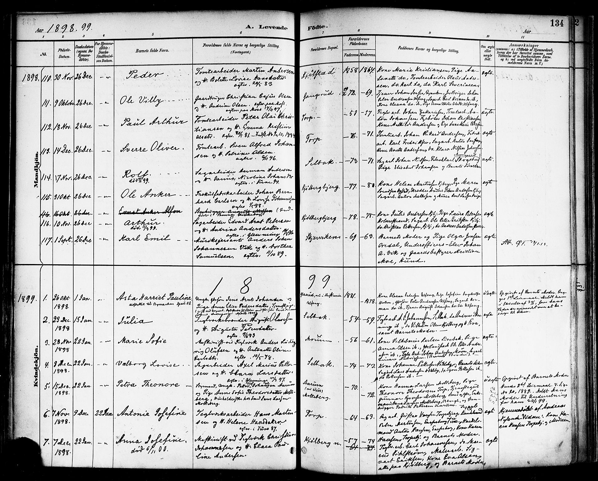 Borge prestekontor Kirkebøker, SAO/A-10903/F/Fa/L0008: Parish register (official) no. I 8A, 1887-1902, p. 134
