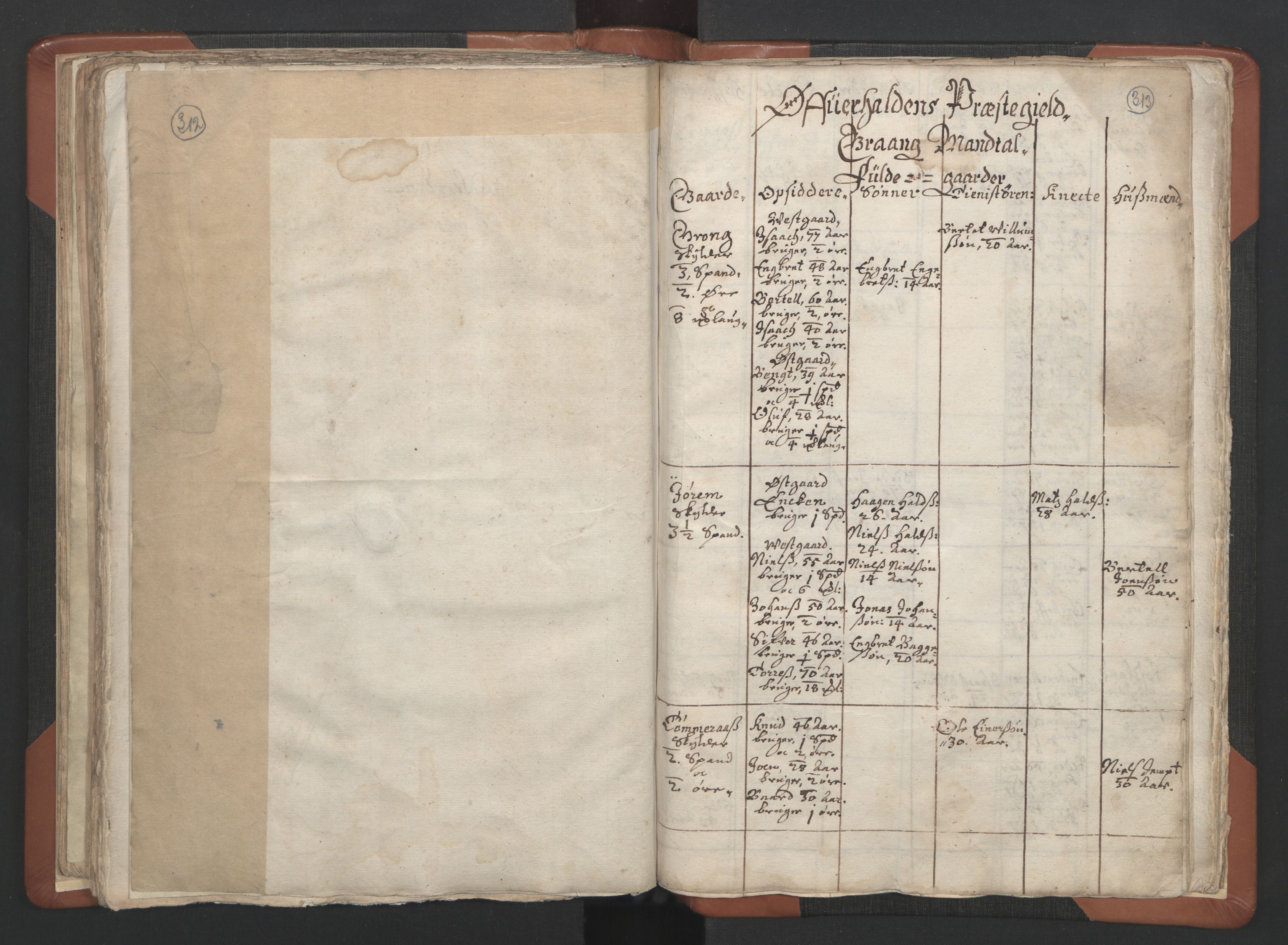 RA, Vicar's Census 1664-1666, no. 34: Namdal deanery, 1664-1666, p. 312-313