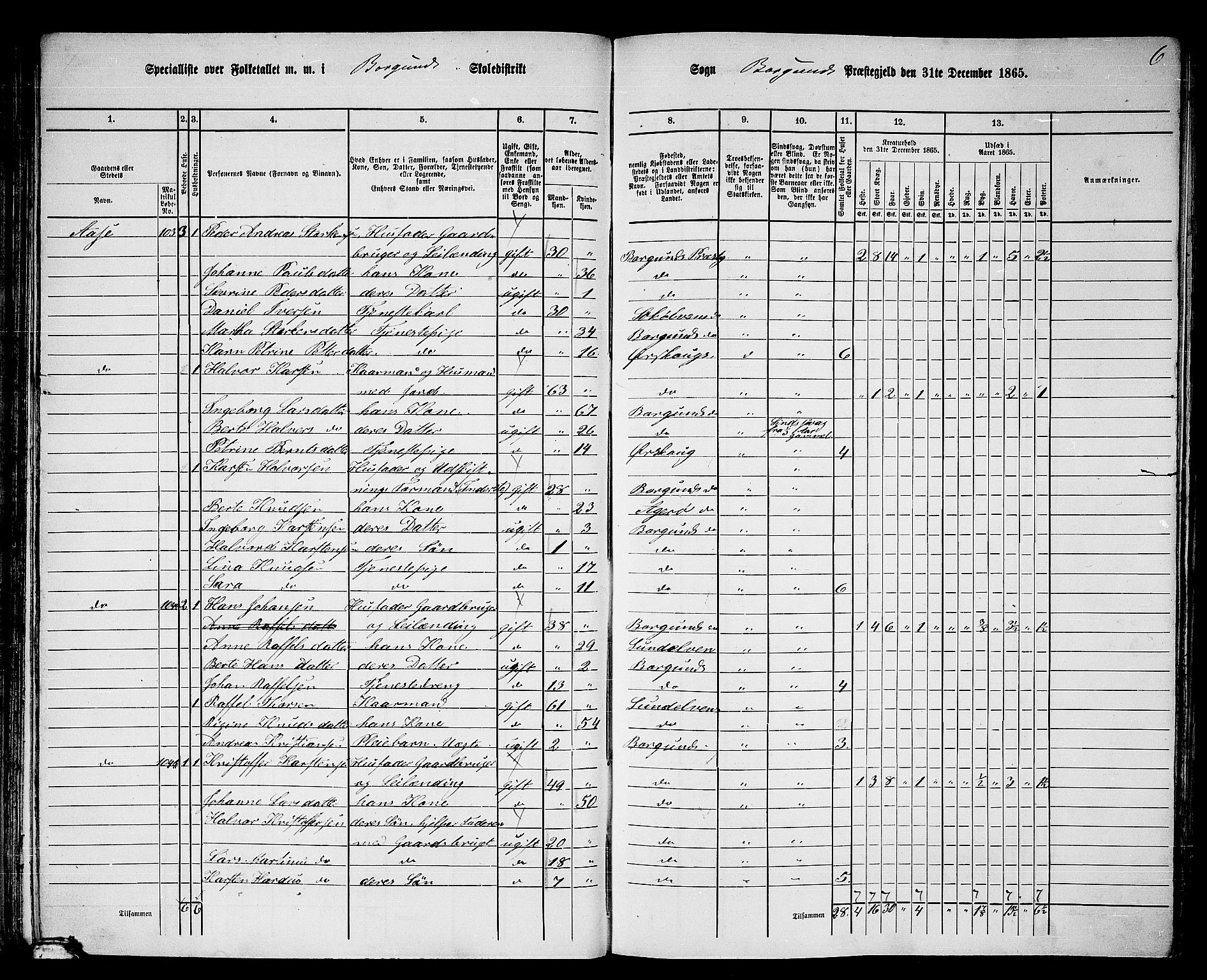 RA, 1865 census for Borgund, 1865, p. 65