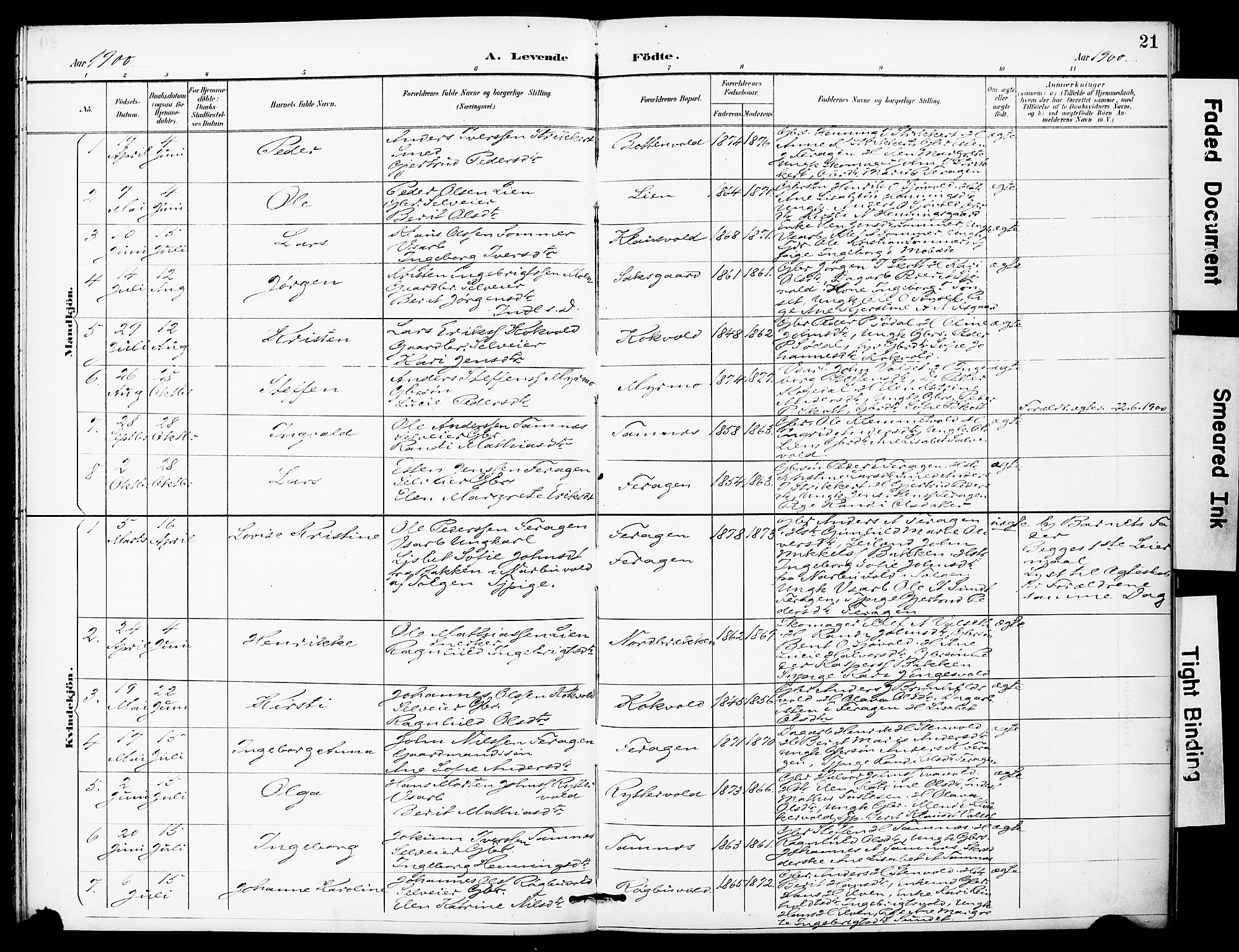 Ministerialprotokoller, klokkerbøker og fødselsregistre - Sør-Trøndelag, SAT/A-1456/683/L0948: Parish register (official) no. 683A01, 1891-1902, p. 21