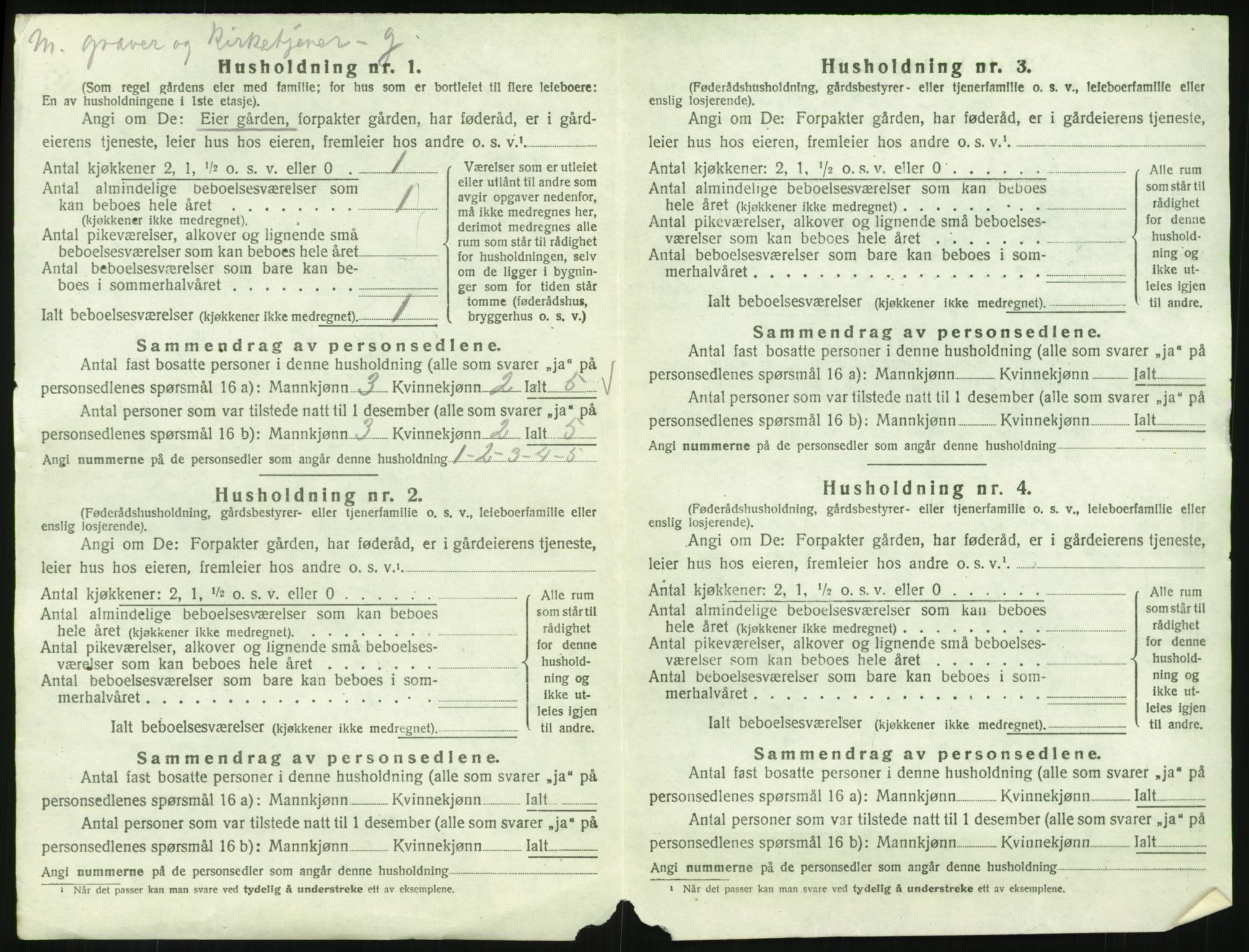 SAH, 1920 census for Furnes, 1920, p. 40