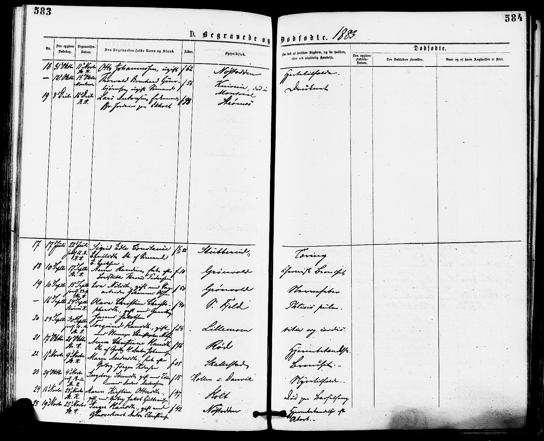 Skoger kirkebøker, AV/SAKO-A-59/F/Fa/L0005: Parish register (official) no. I 5, 1873-1884, p. 583-584