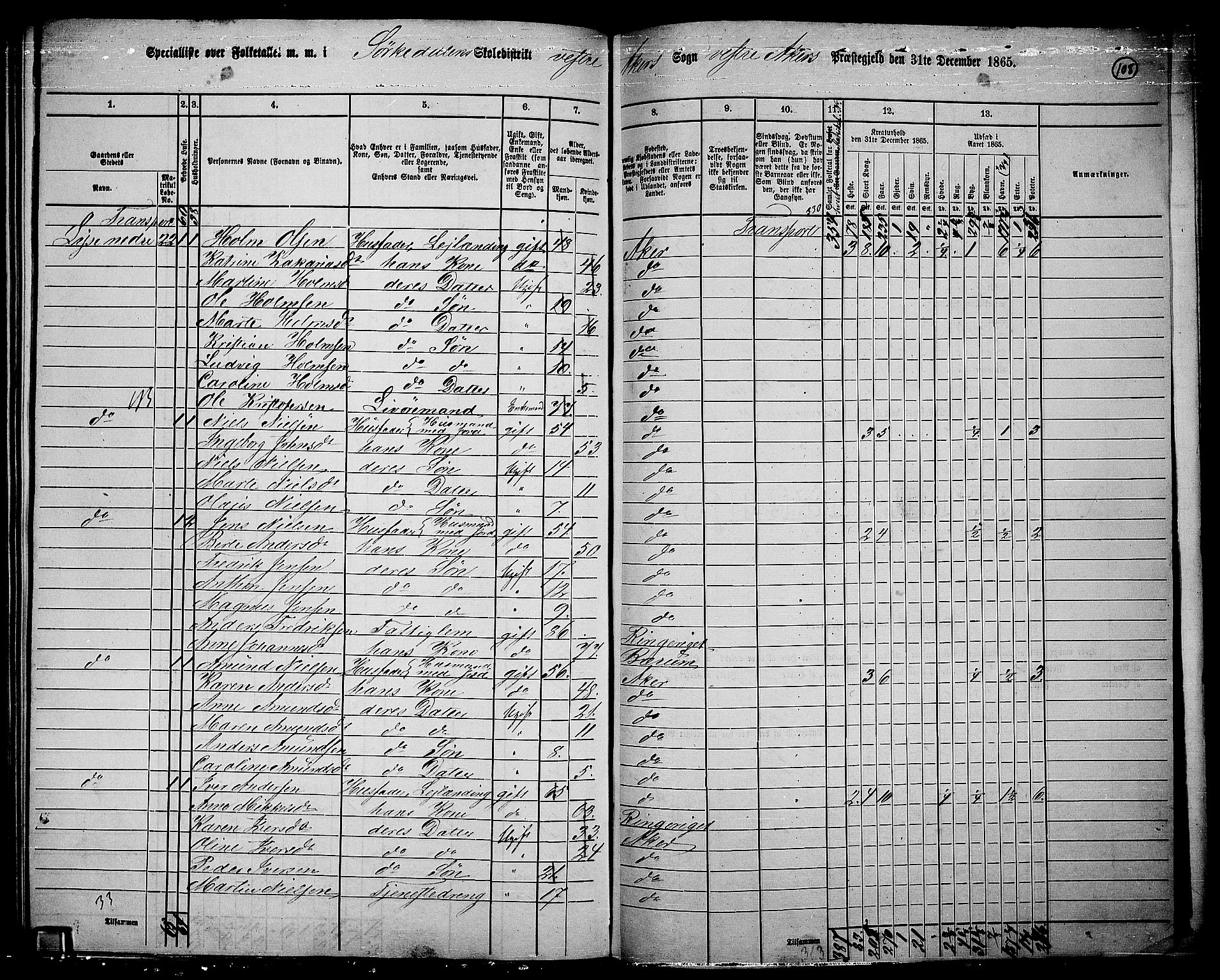 RA, 1865 census for Vestre Aker, 1865, p. 101