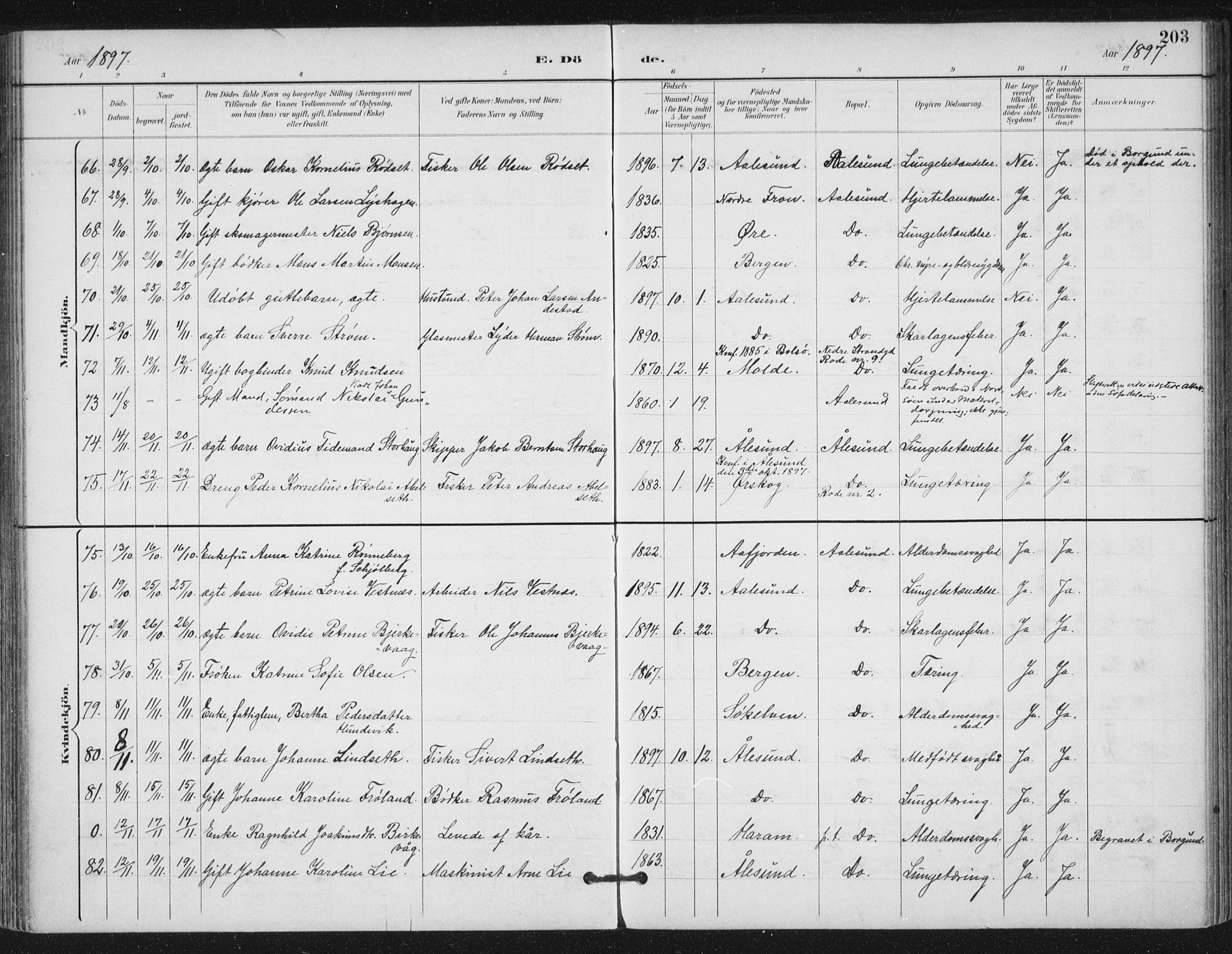 Ministerialprotokoller, klokkerbøker og fødselsregistre - Møre og Romsdal, AV/SAT-A-1454/529/L0457: Parish register (official) no. 529A07, 1894-1903, p. 203