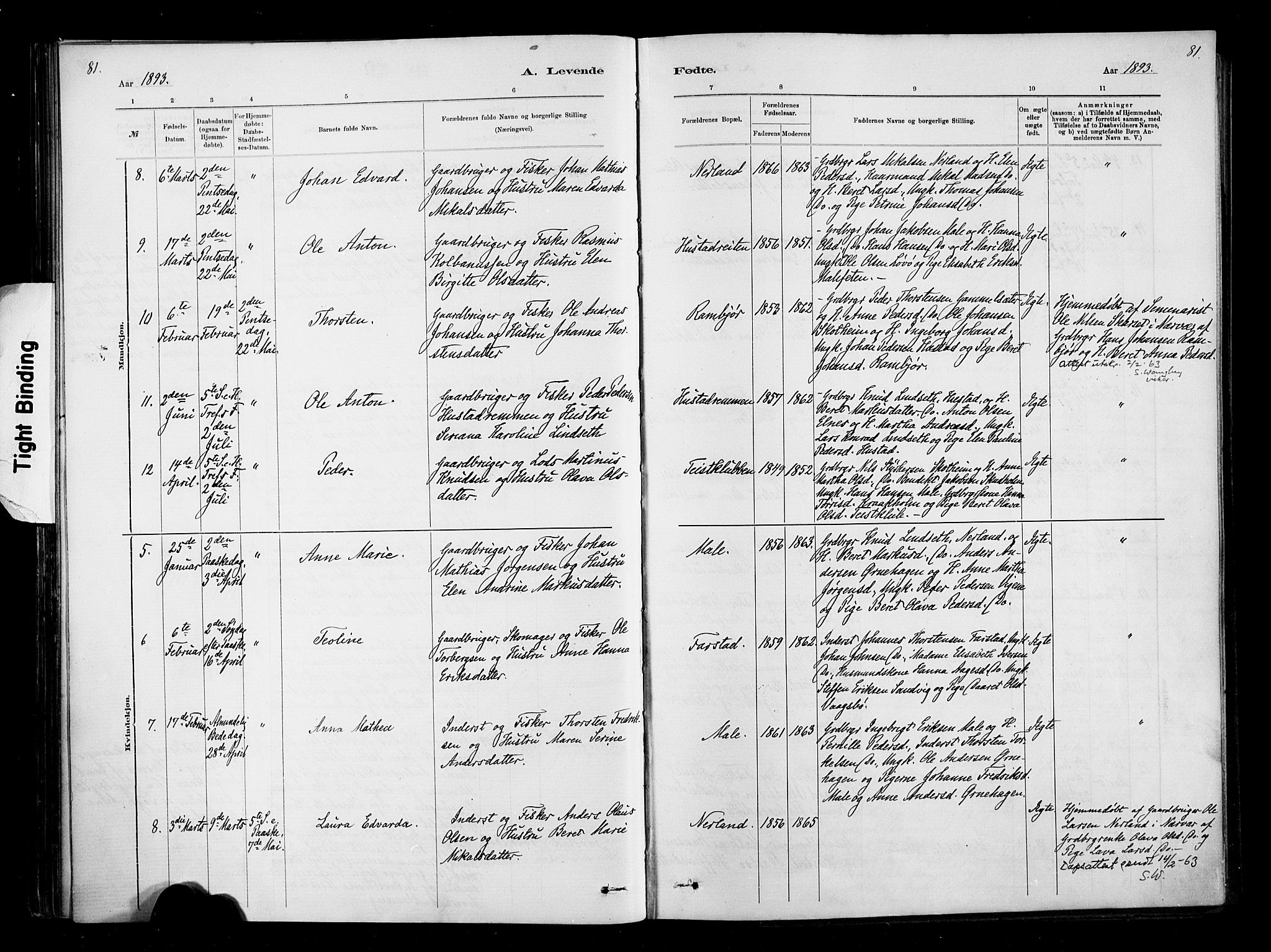 Ministerialprotokoller, klokkerbøker og fødselsregistre - Møre og Romsdal, AV/SAT-A-1454/567/L0778: Parish register (official) no. 567A01, 1881-1903, p. 81