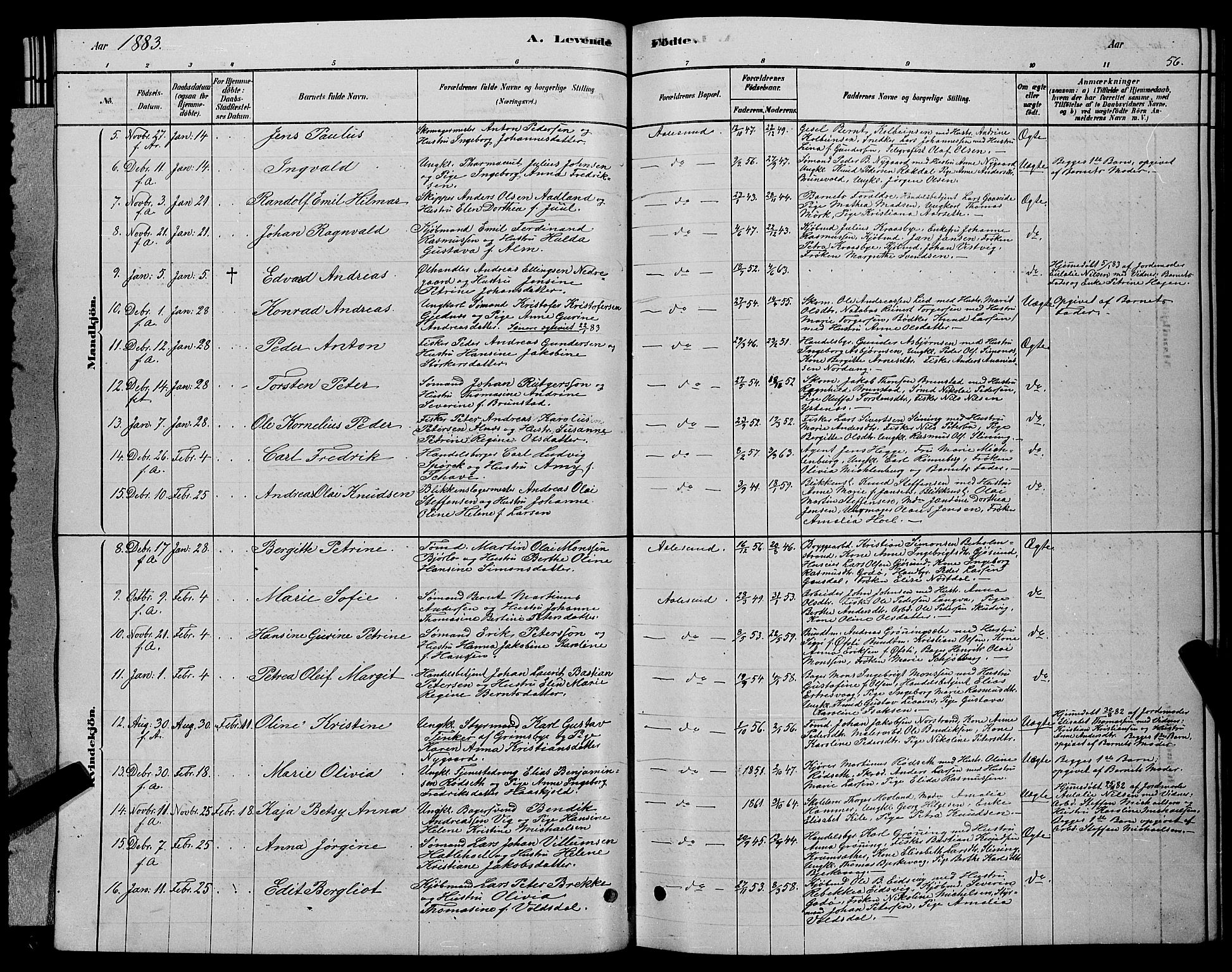 Ministerialprotokoller, klokkerbøker og fødselsregistre - Møre og Romsdal, SAT/A-1454/529/L0466: Parish register (copy) no. 529C03, 1878-1888, p. 56