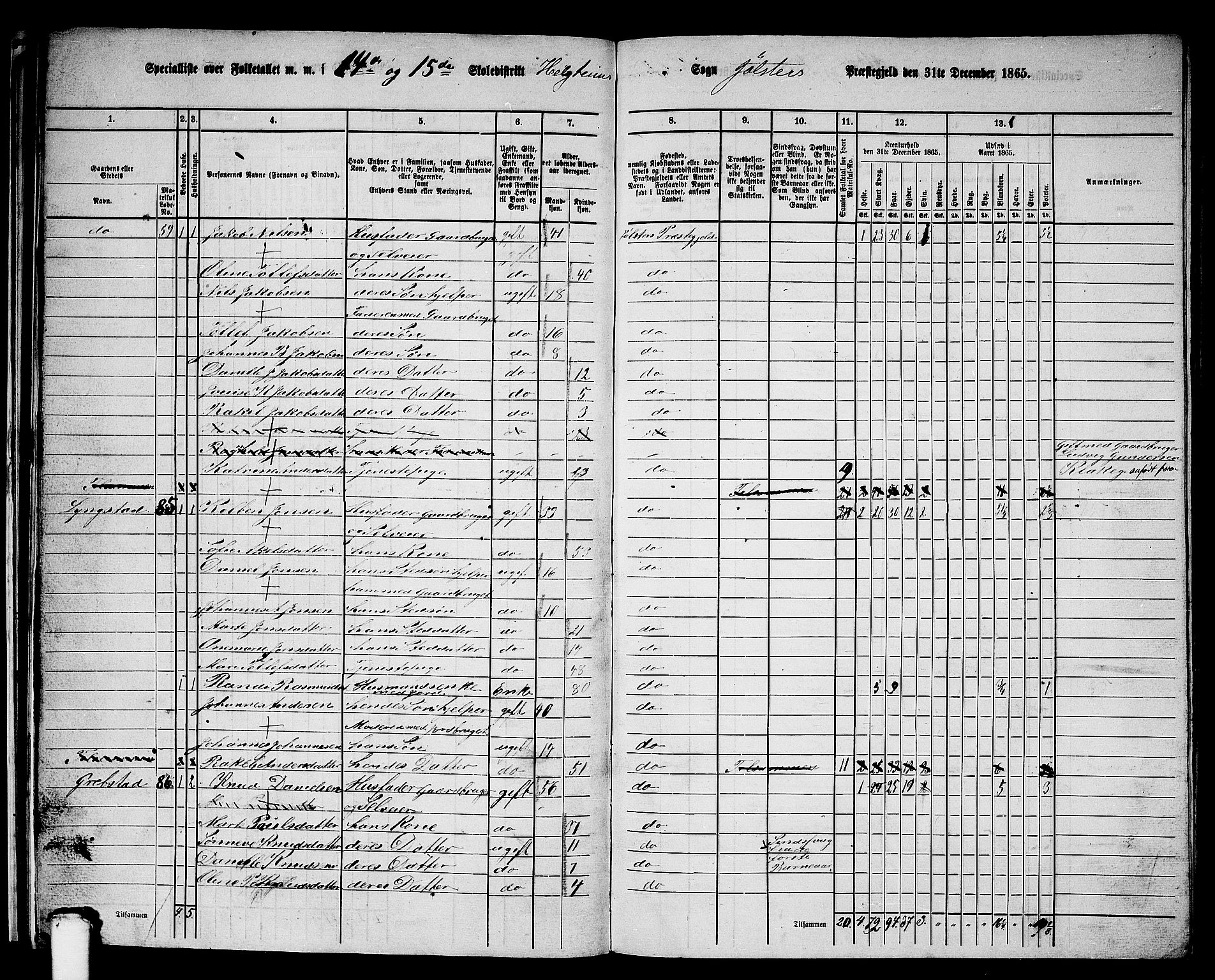 RA, 1865 census for Jølster, 1865, p. 41