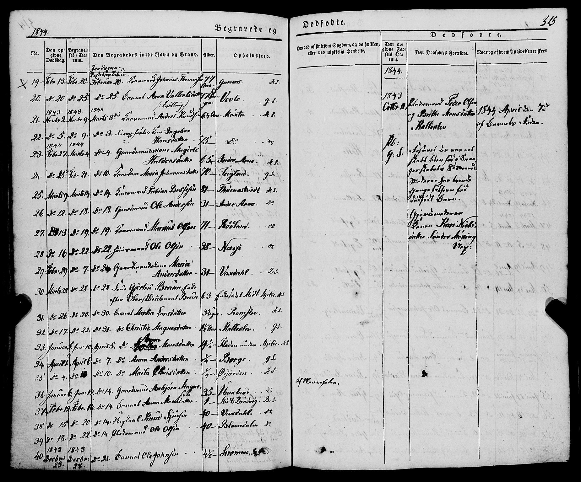 Haus sokneprestembete, AV/SAB-A-75601/H/Haa: Parish register (official) no. A 15, 1838-1847, p. 315