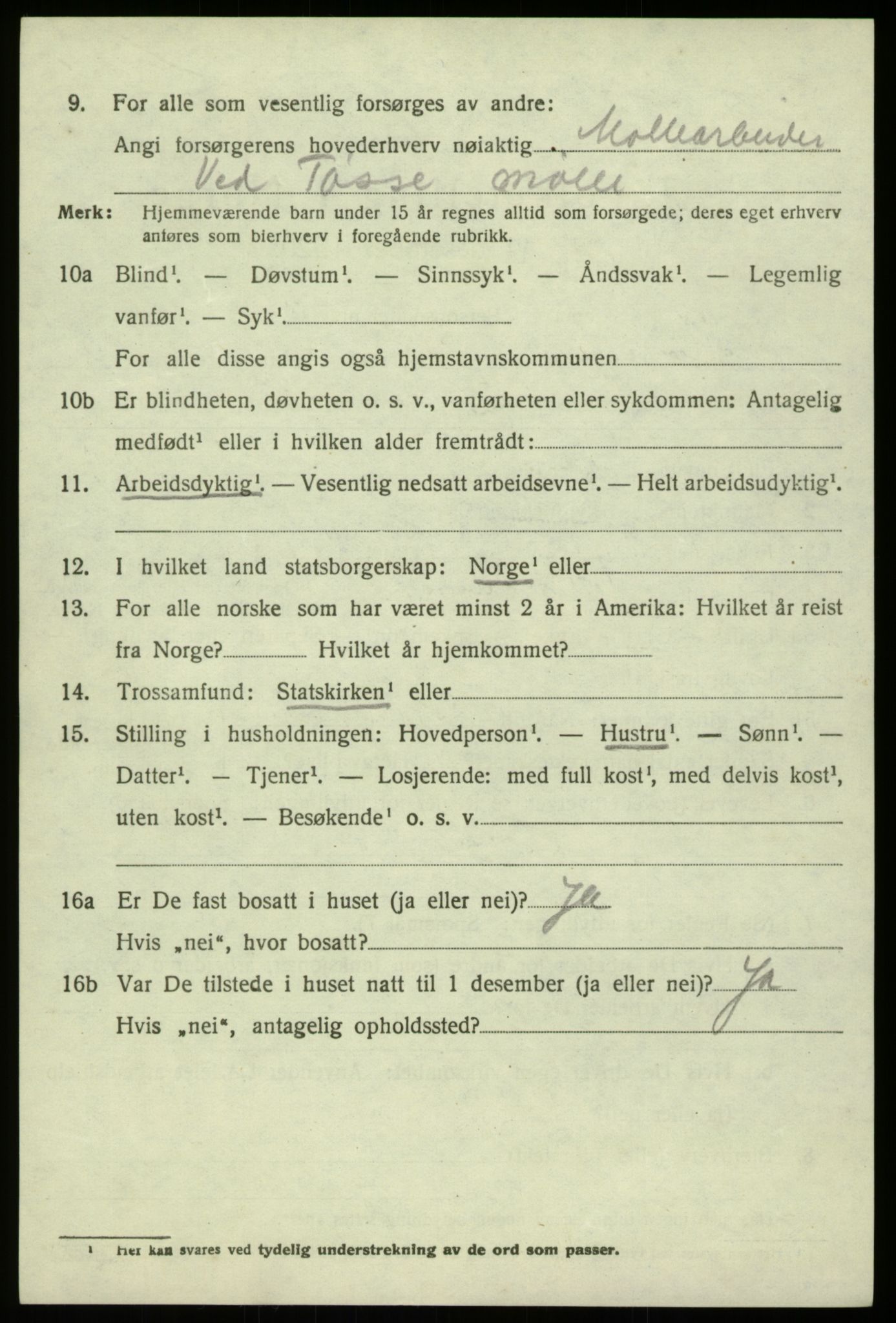 SAB, 1920 census for Hosanger, 1920, p. 4214