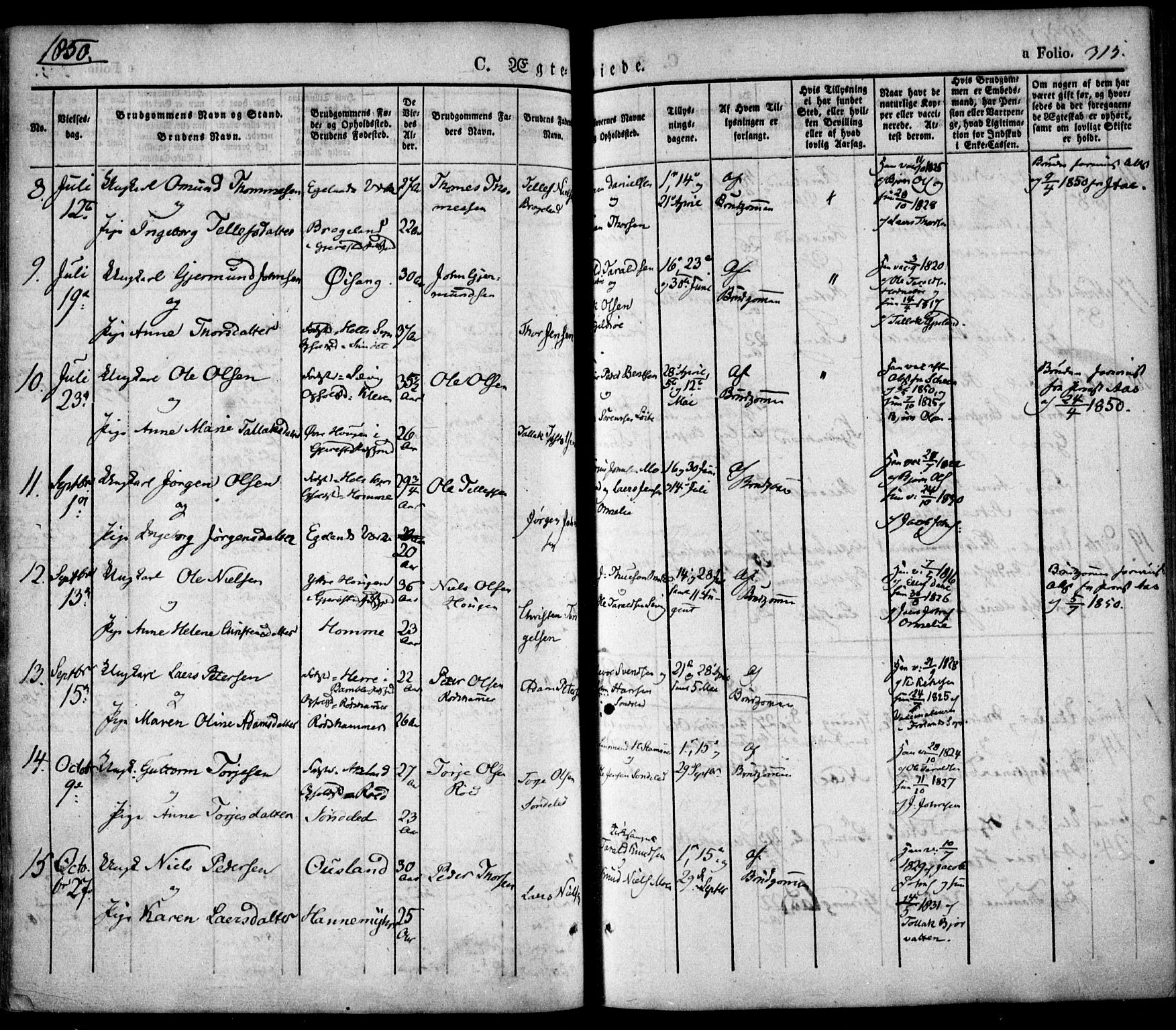 Søndeled sokneprestkontor, SAK/1111-0038/F/Fa/L0002: Parish register (official) no. A 2, 1839-1860, p. 315
