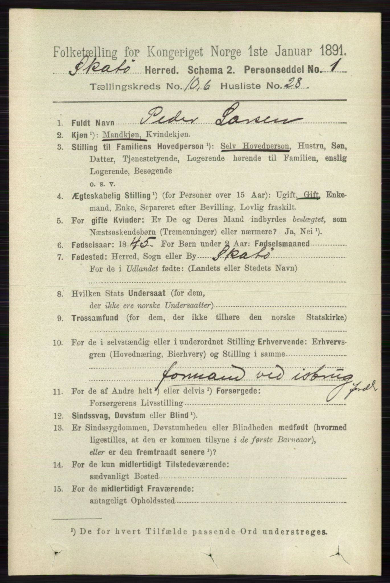 RA, 1891 census for 0815 Skåtøy, 1891, p. 4207