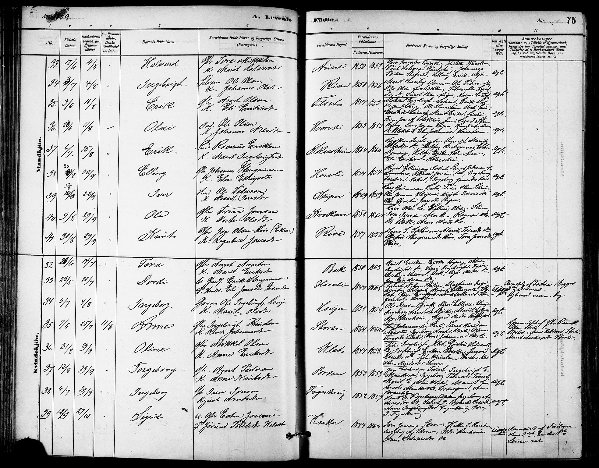 Ministerialprotokoller, klokkerbøker og fødselsregistre - Sør-Trøndelag, AV/SAT-A-1456/678/L0901: Parish register (official) no. 678A10, 1881-1894, p. 75