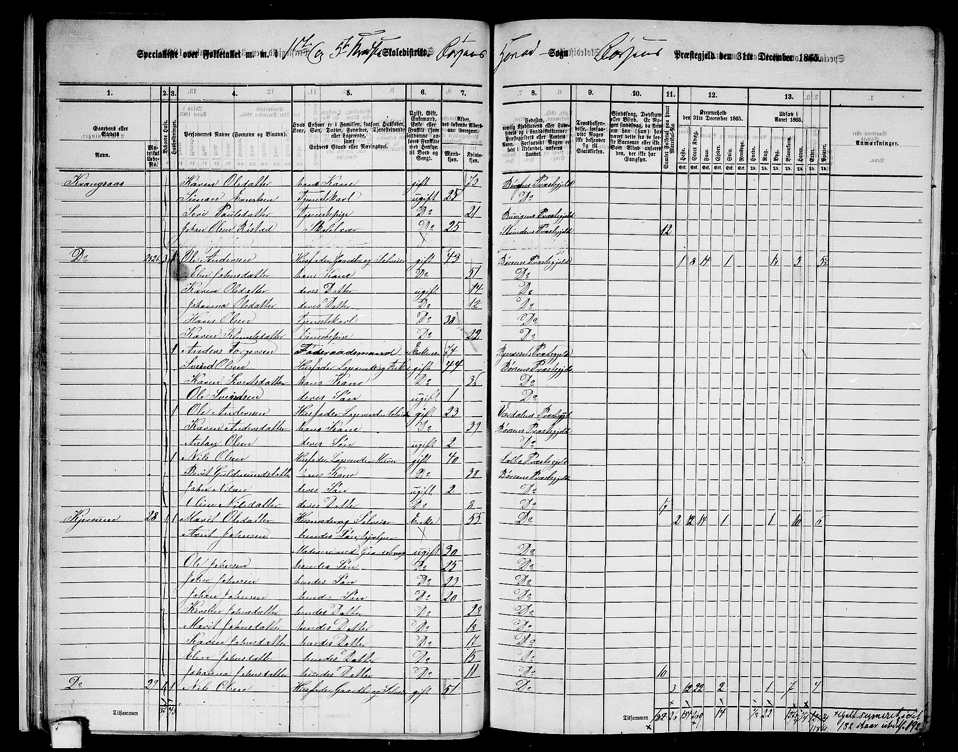 RA, 1865 census for Børsa, 1865, p. 17