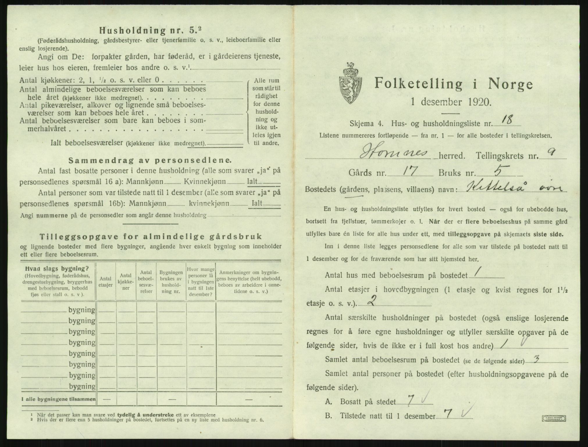 SAK, 1920 census for Hornnes, 1920, p. 385