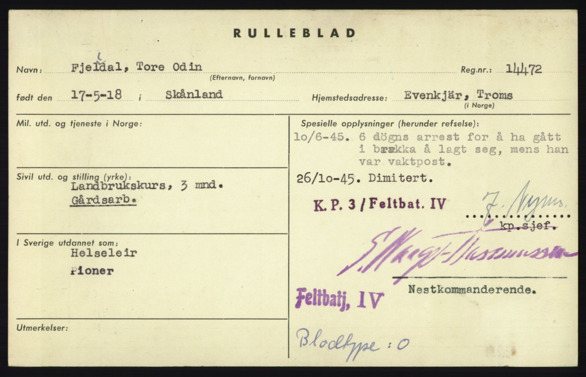 Forsvaret, Troms infanteriregiment nr. 16, AV/RA-RAFA-3146/P/Pa/L0023: Rulleblad for regimentets menige mannskaper, årsklasse 1939, 1939, p. 247