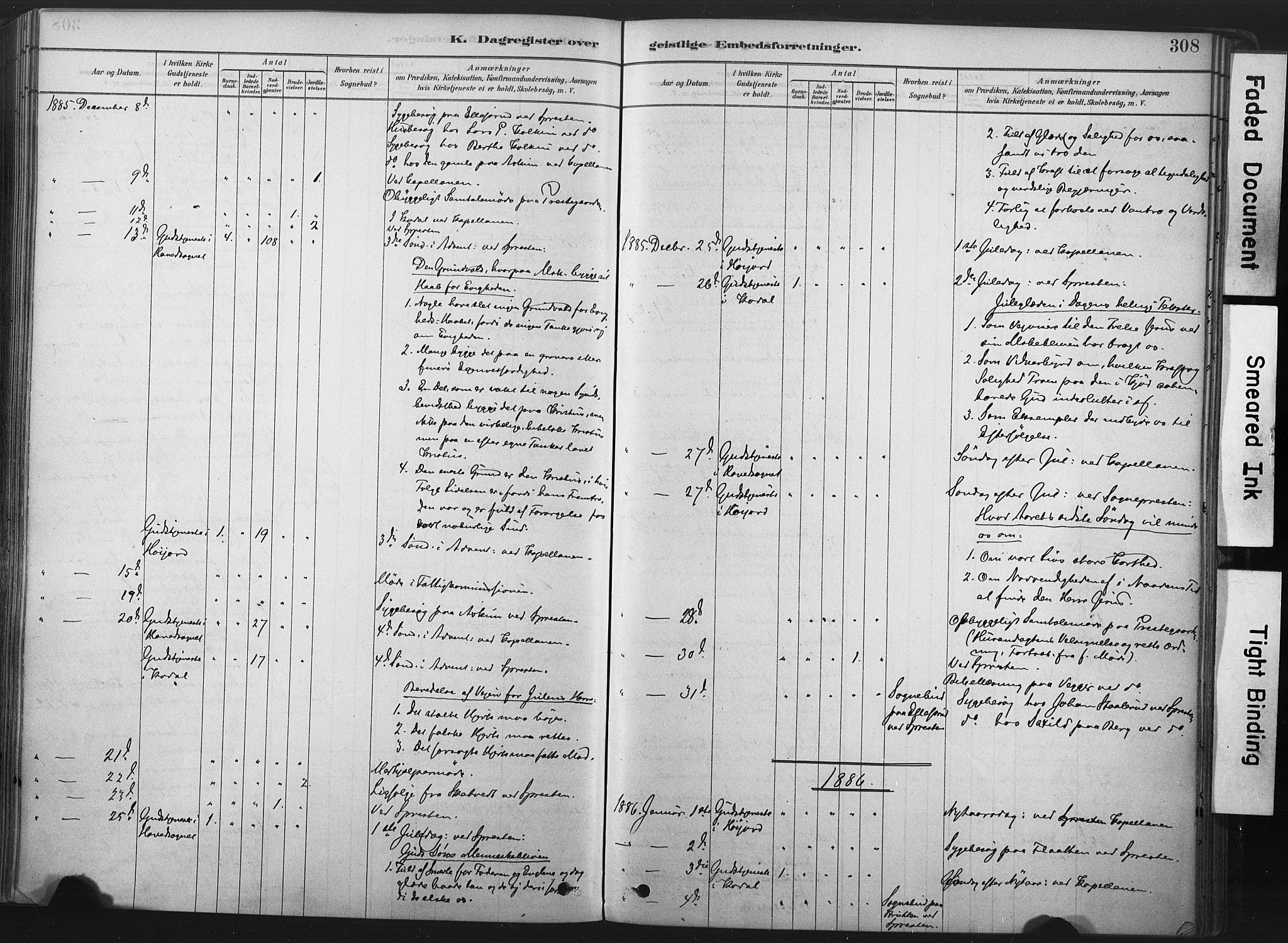 Andebu kirkebøker, AV/SAKO-A-336/F/Fa/L0007: Parish register (official) no. I 7, 1878-1899, p. 308