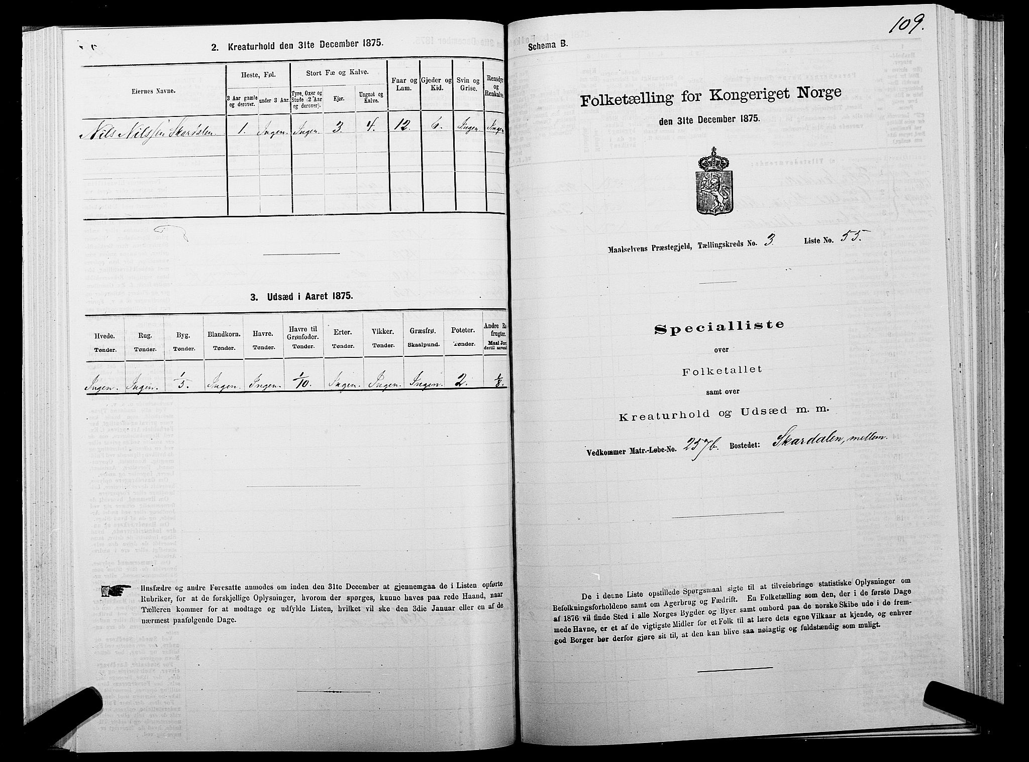 SATØ, 1875 census for 1924P Målselv, 1875, p. 2109