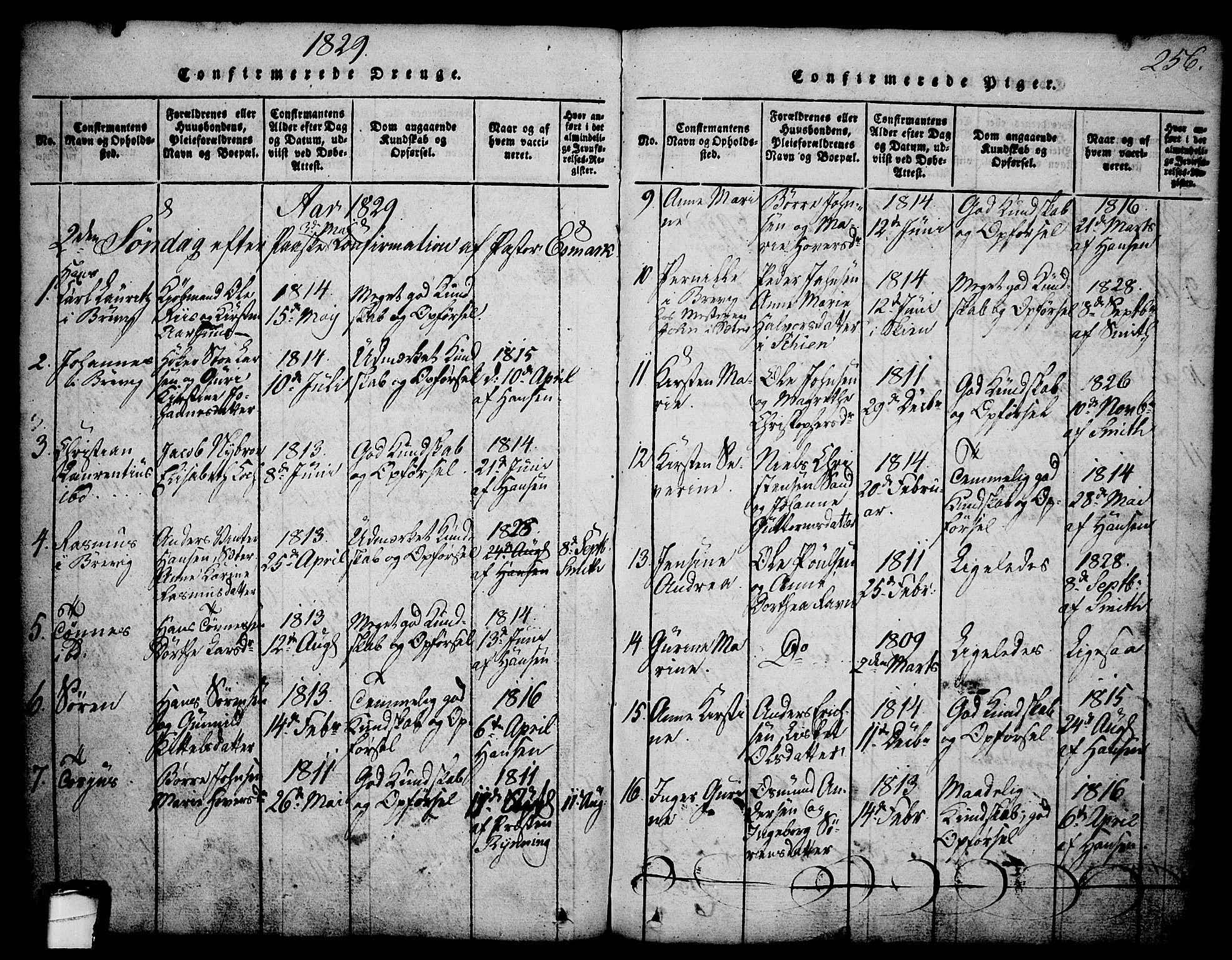 Brevik kirkebøker, AV/SAKO-A-255/G/Ga/L0001: Parish register (copy) no. 1, 1814-1845, p. 256