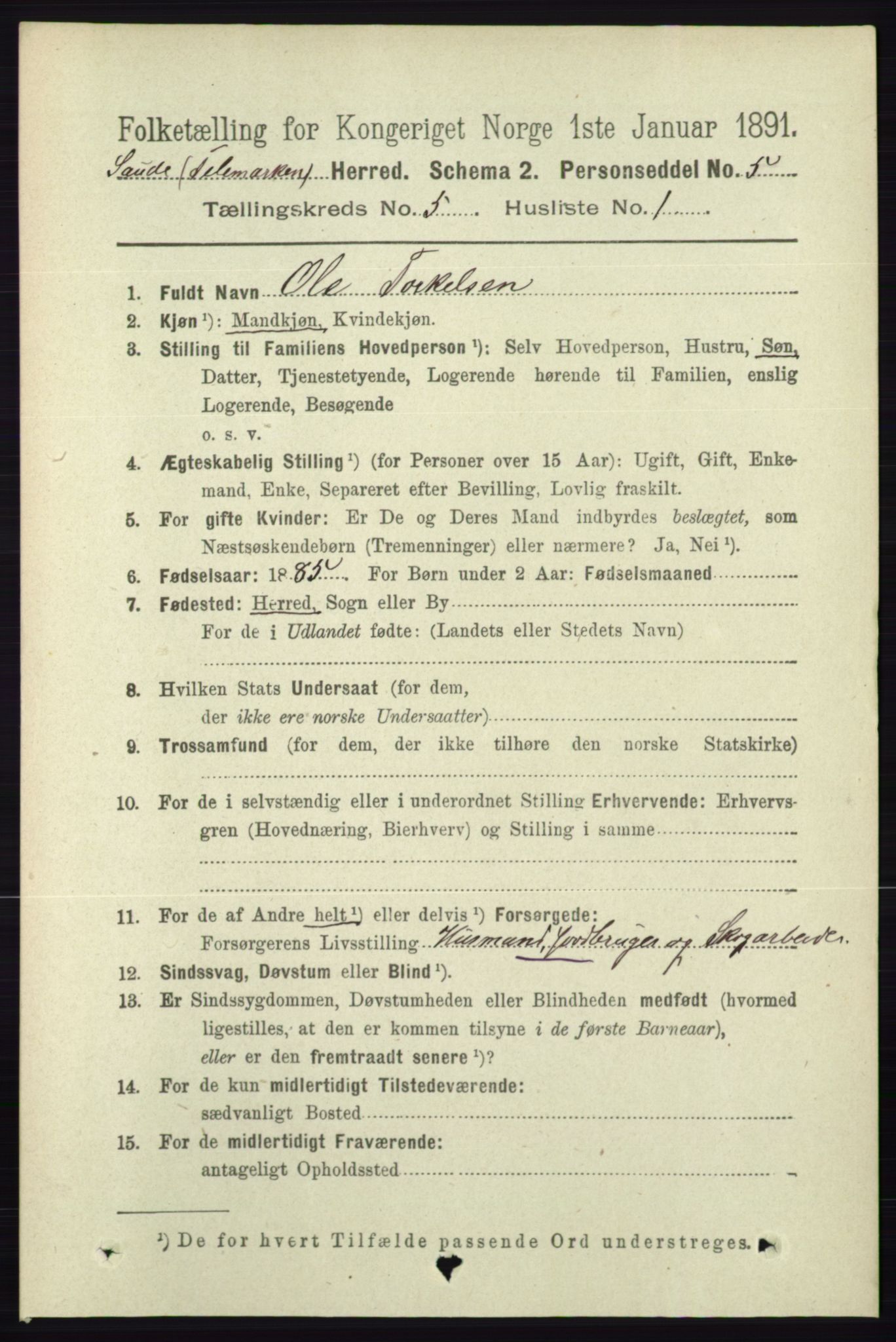 RA, 1891 census for 0822 Sauherad, 1891, p. 1429