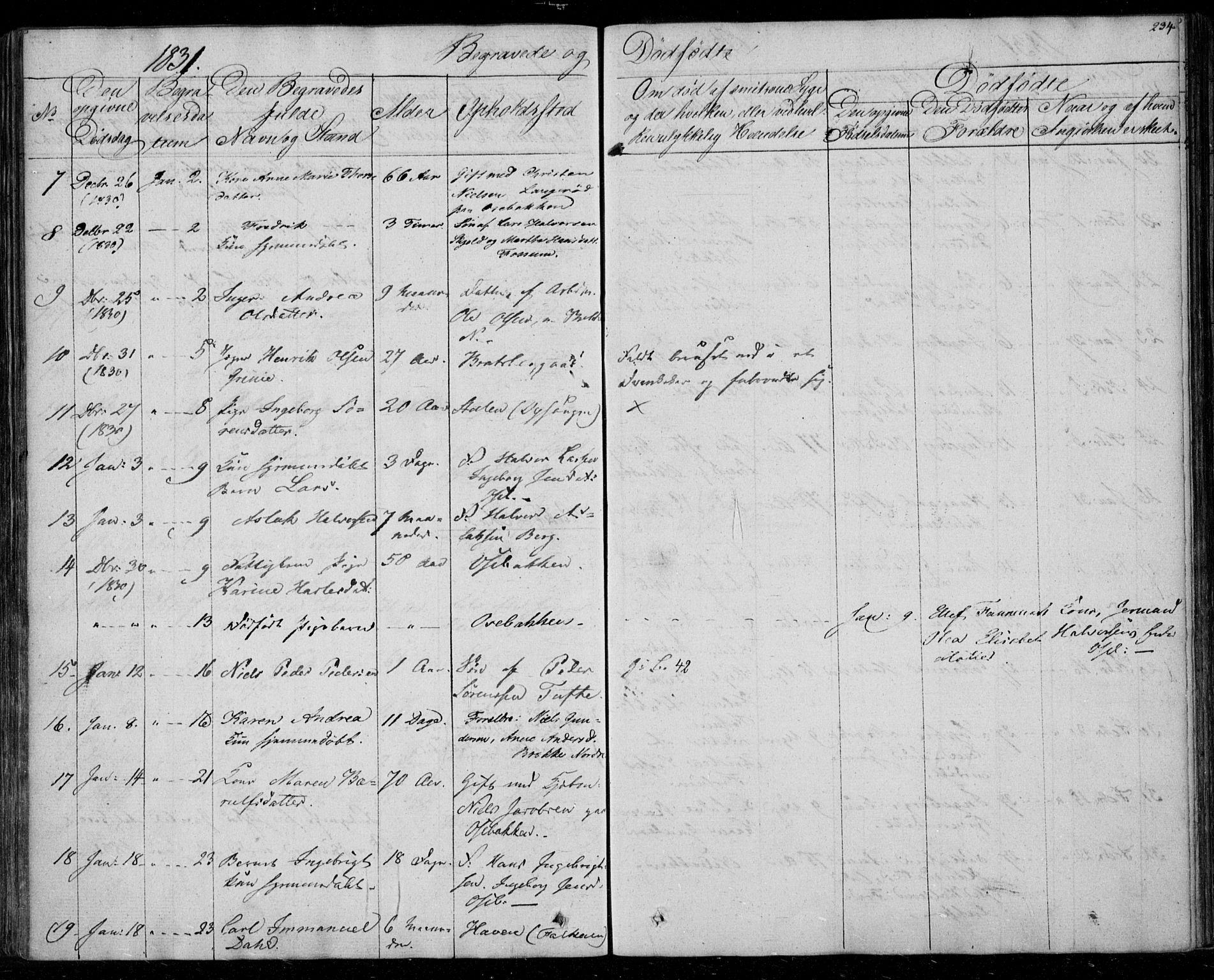 Gjerpen kirkebøker, SAKO/A-265/F/Fa/L0006: Parish register (official) no. I 6, 1829-1834, p. 234