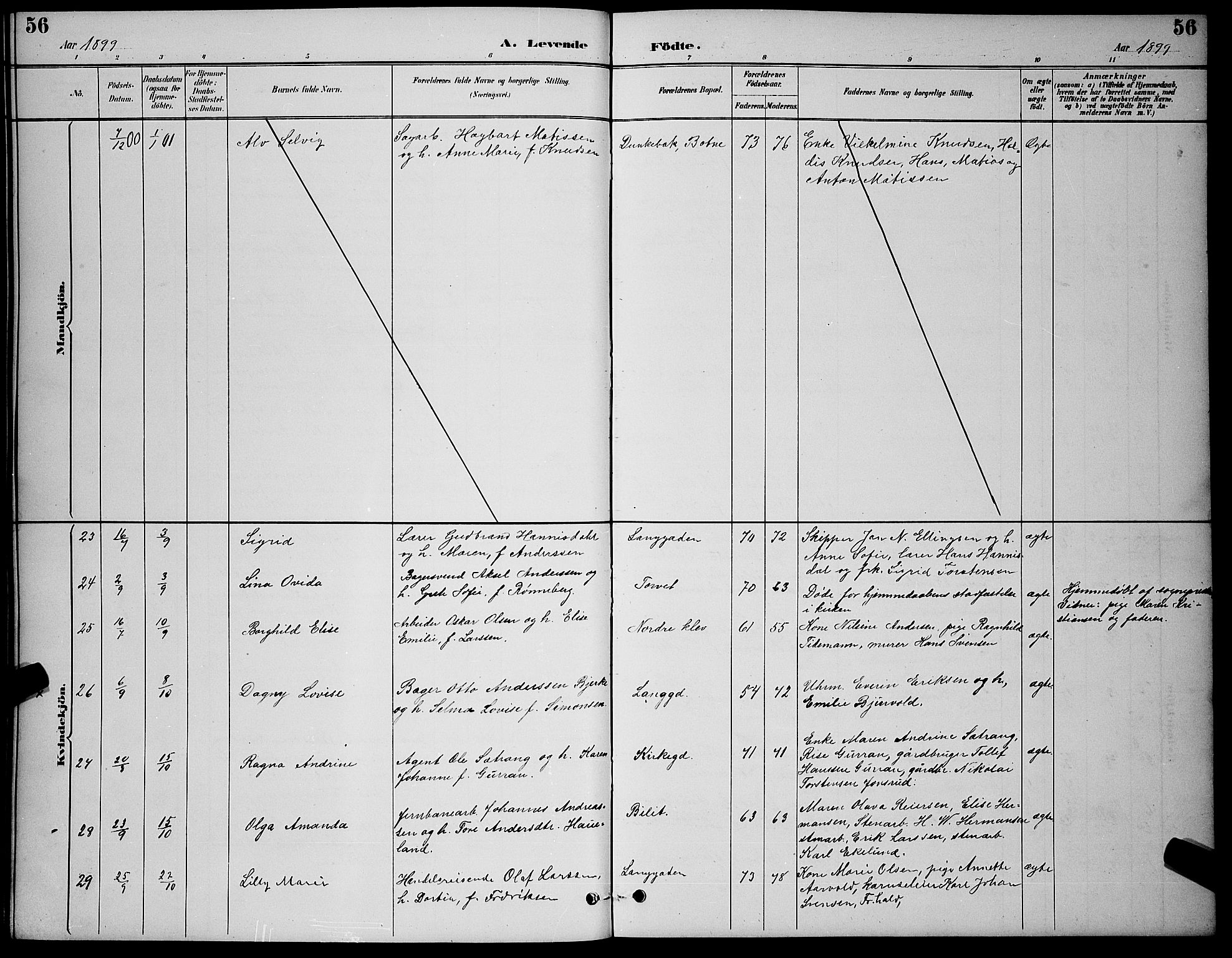 Holmestrand kirkebøker, AV/SAKO-A-346/G/Ga/L0005: Parish register (copy) no. 5, 1889-1901, p. 56