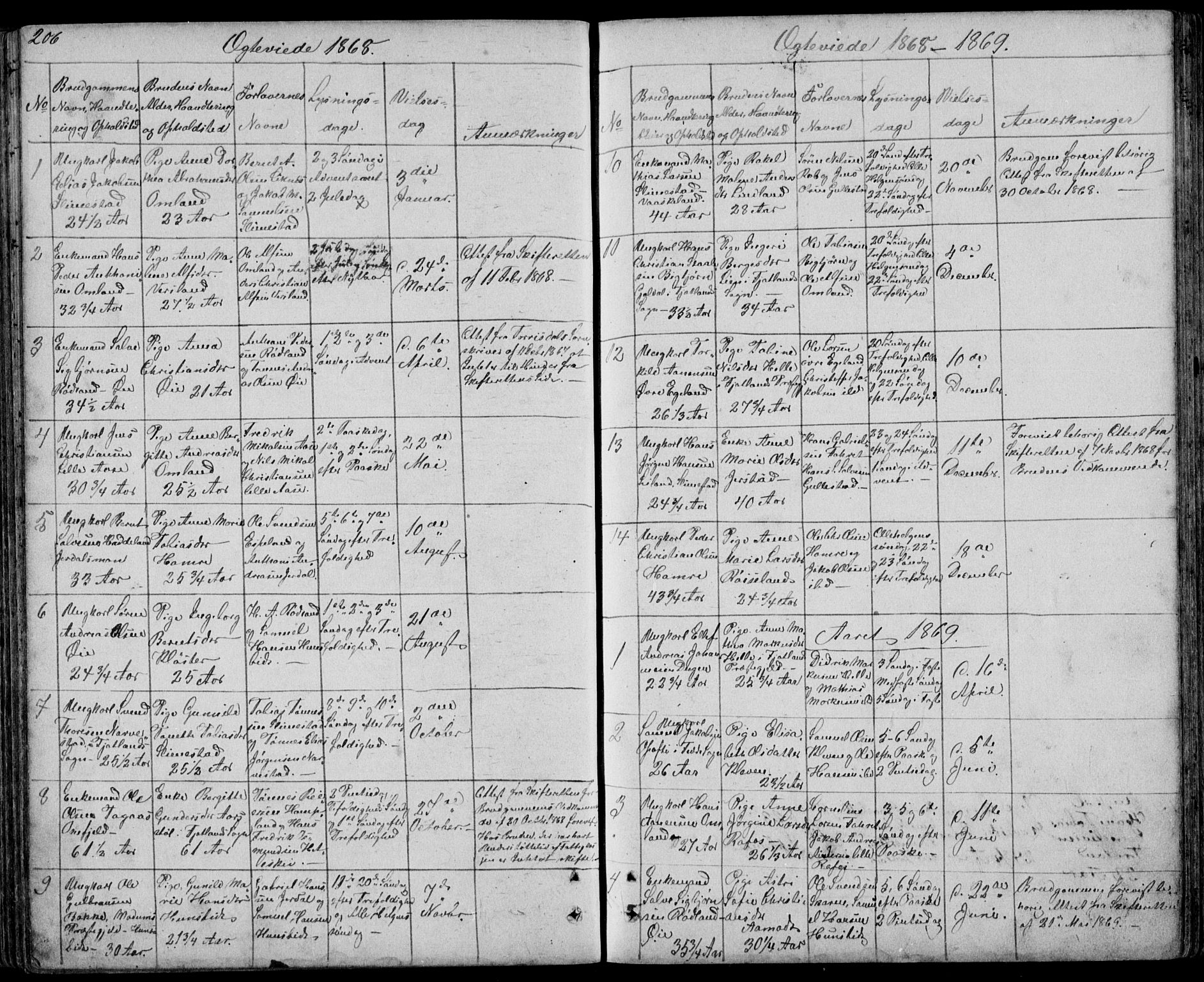 Kvinesdal sokneprestkontor, SAK/1111-0026/F/Fb/Fbb/L0001: Parish register (copy) no. B 1, 1852-1872, p. 206